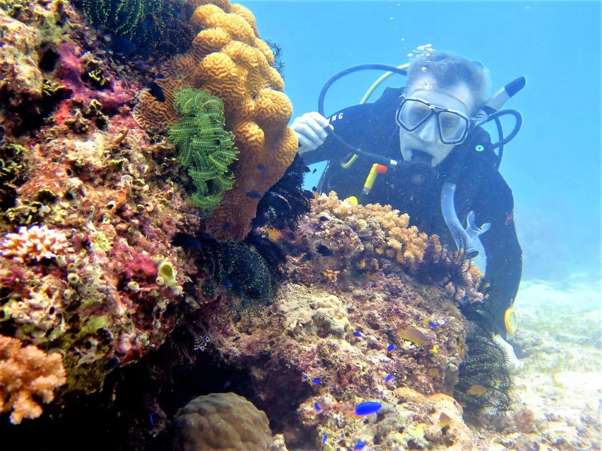 Natural landscape in Bohol South Beach Hotel