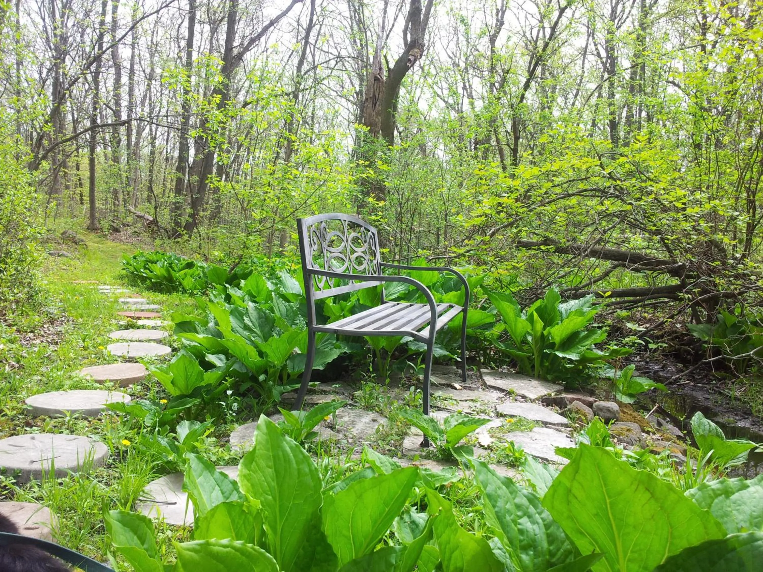 Natural landscape in INN AT WAWANISSEE POINT