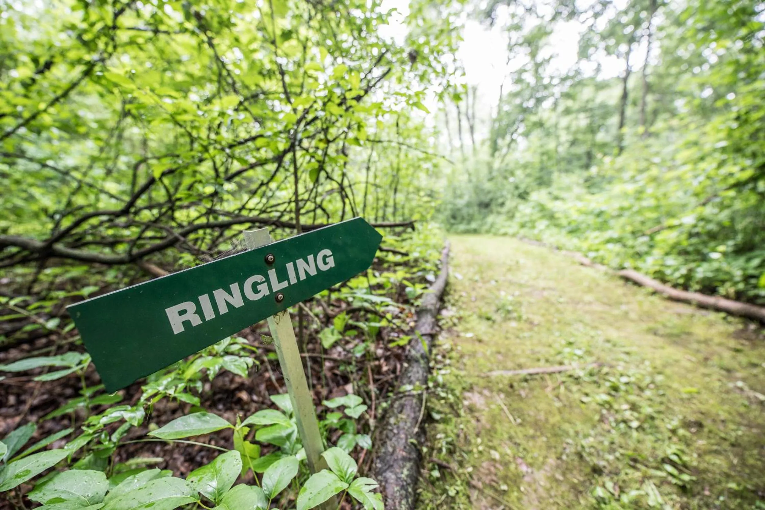 Property building in INN AT WAWANISSEE POINT