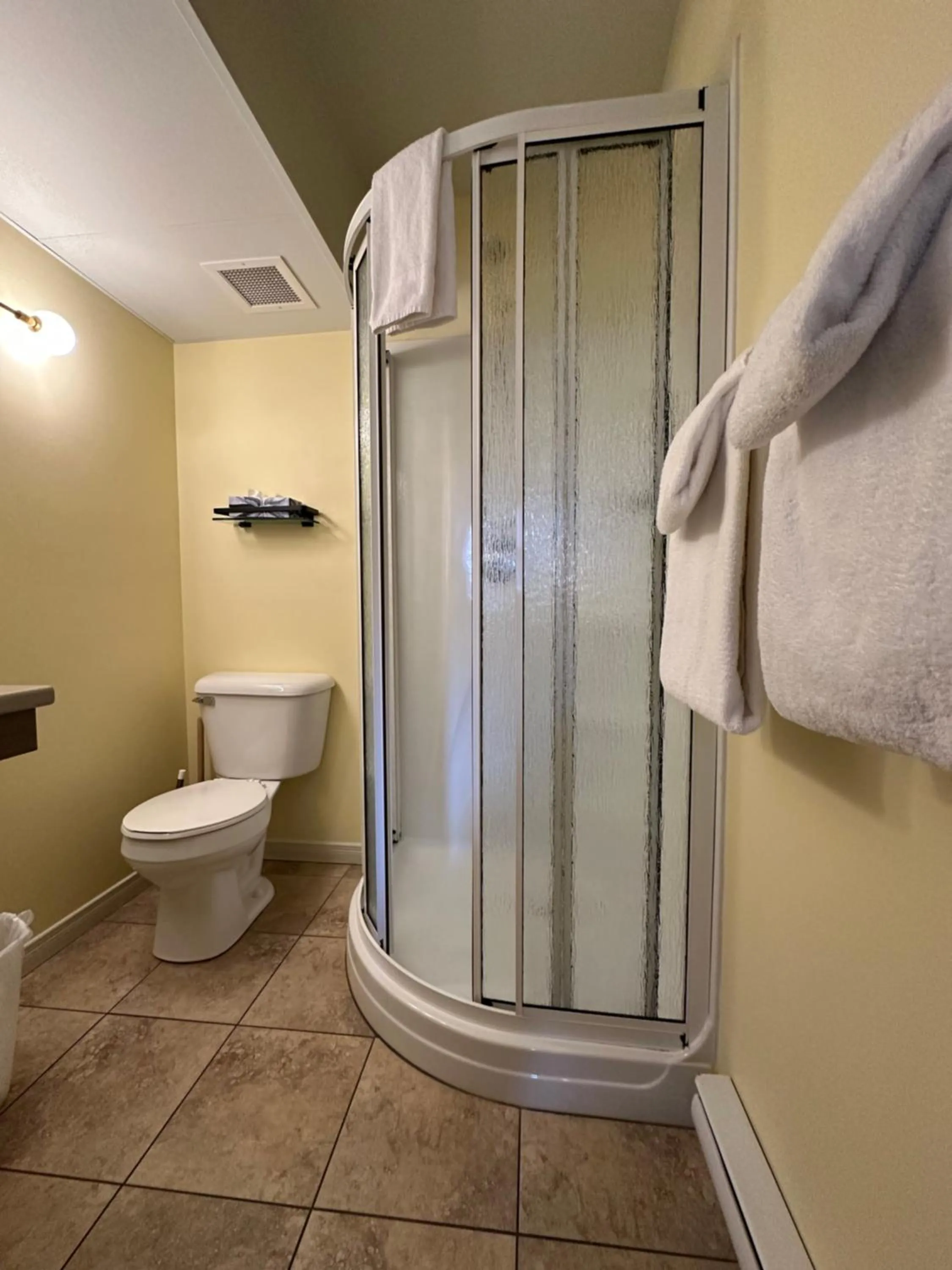 Bathroom in Auberge aux Deux Lions