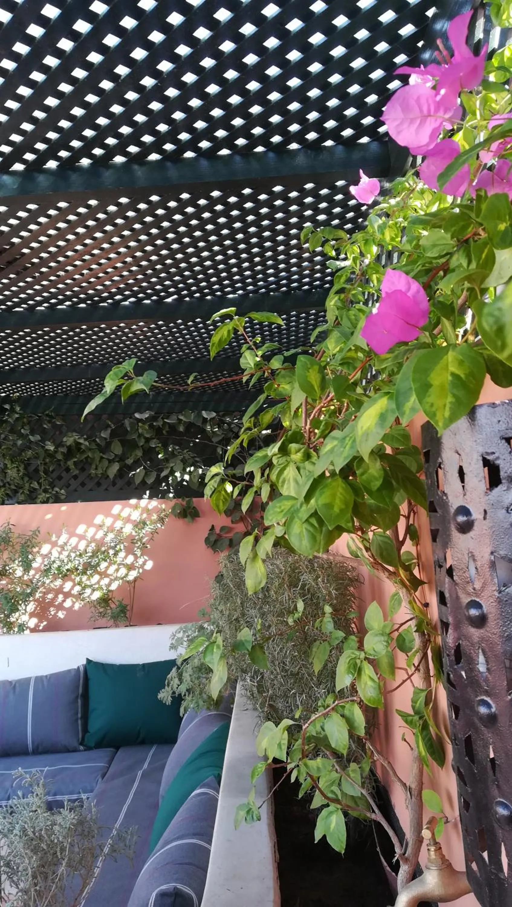 Patio in Riad Achwaq