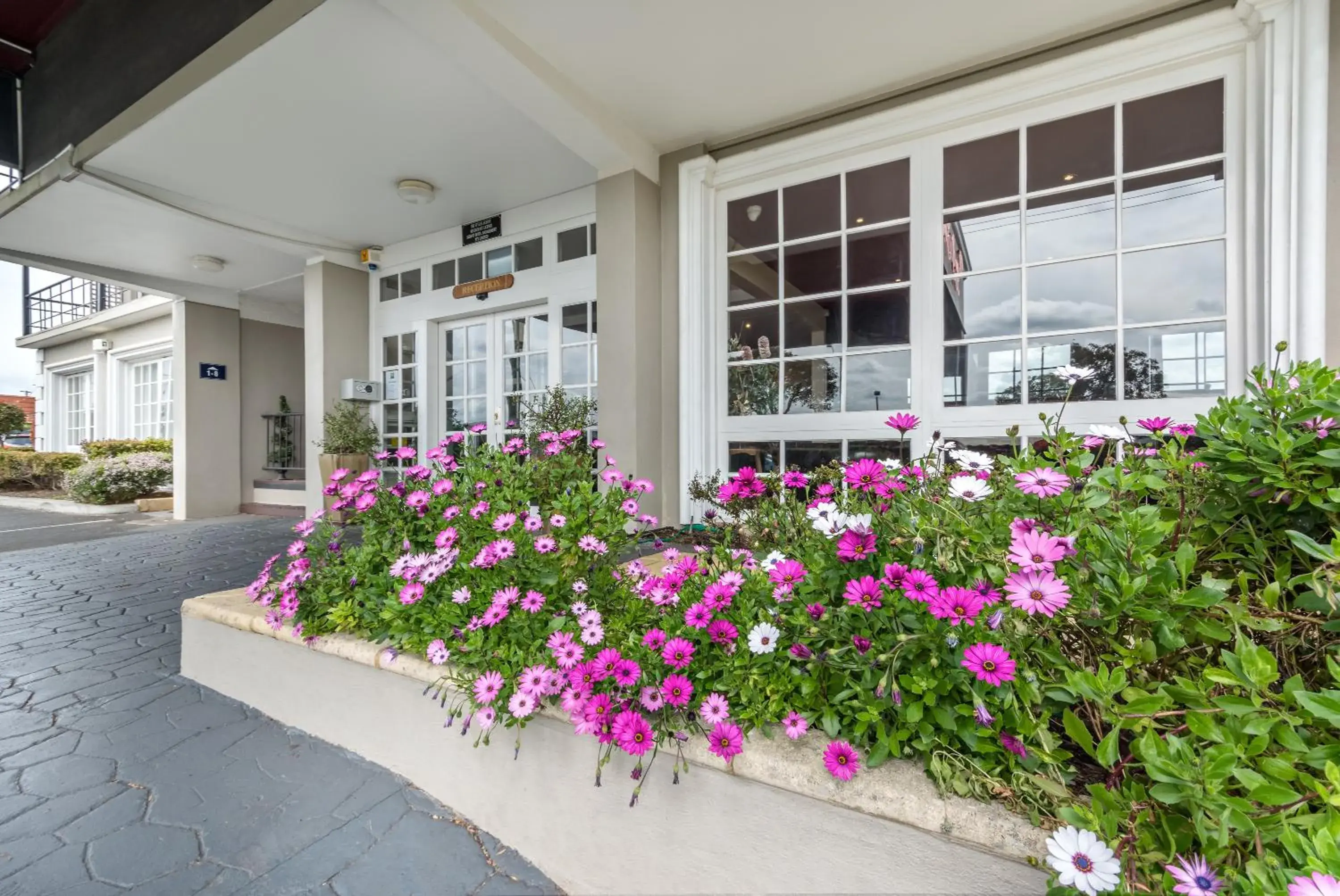 Facade/entrance in ibis Styles Albany Facade/entrance in ibis Styles Albany