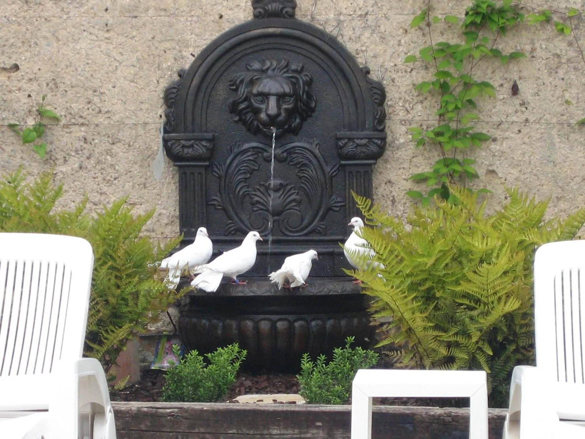 Garden in Appartement Domaine de la Freslonnière
