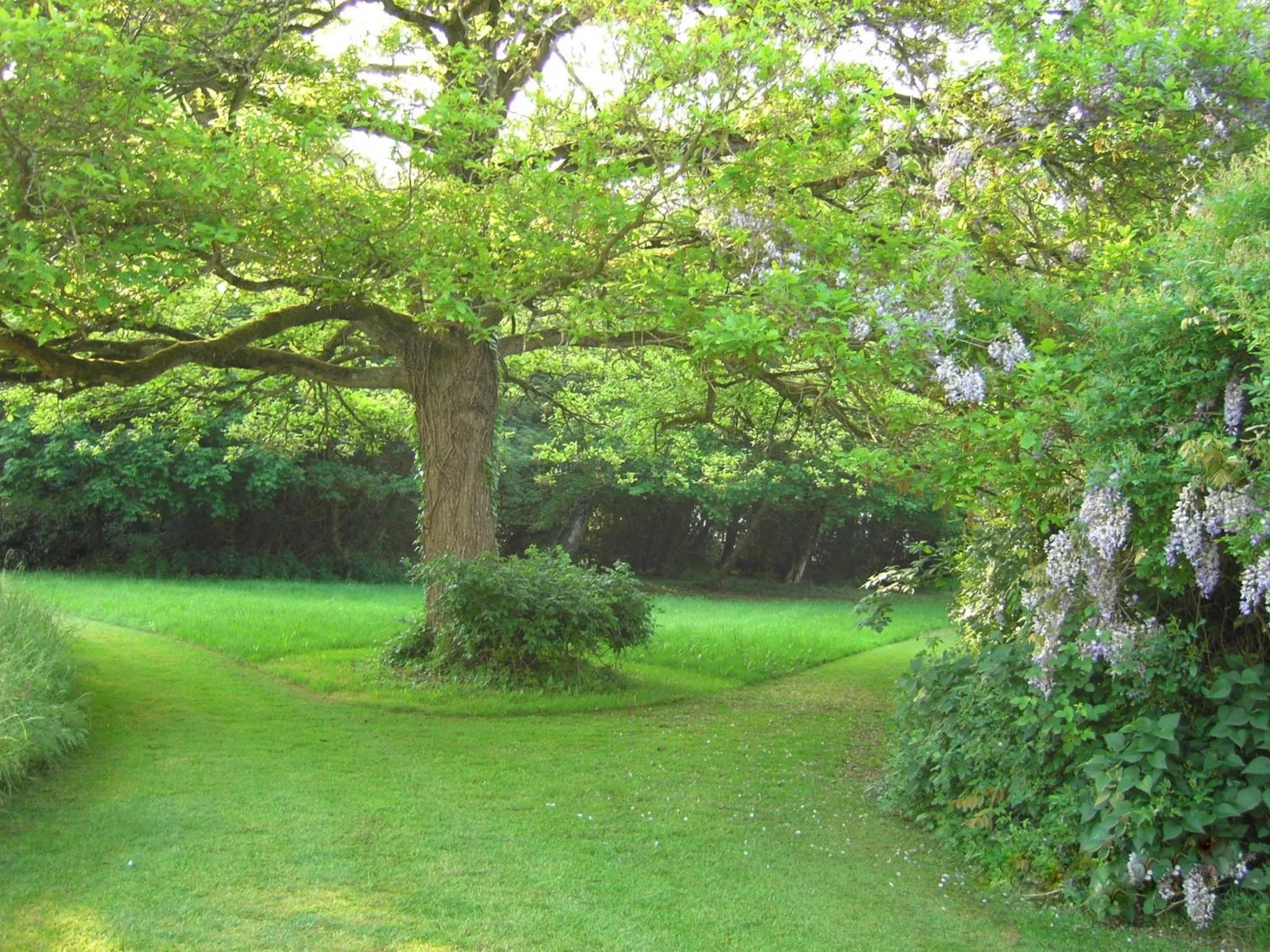 Garden in Appartement Domaine de la Freslonnière
