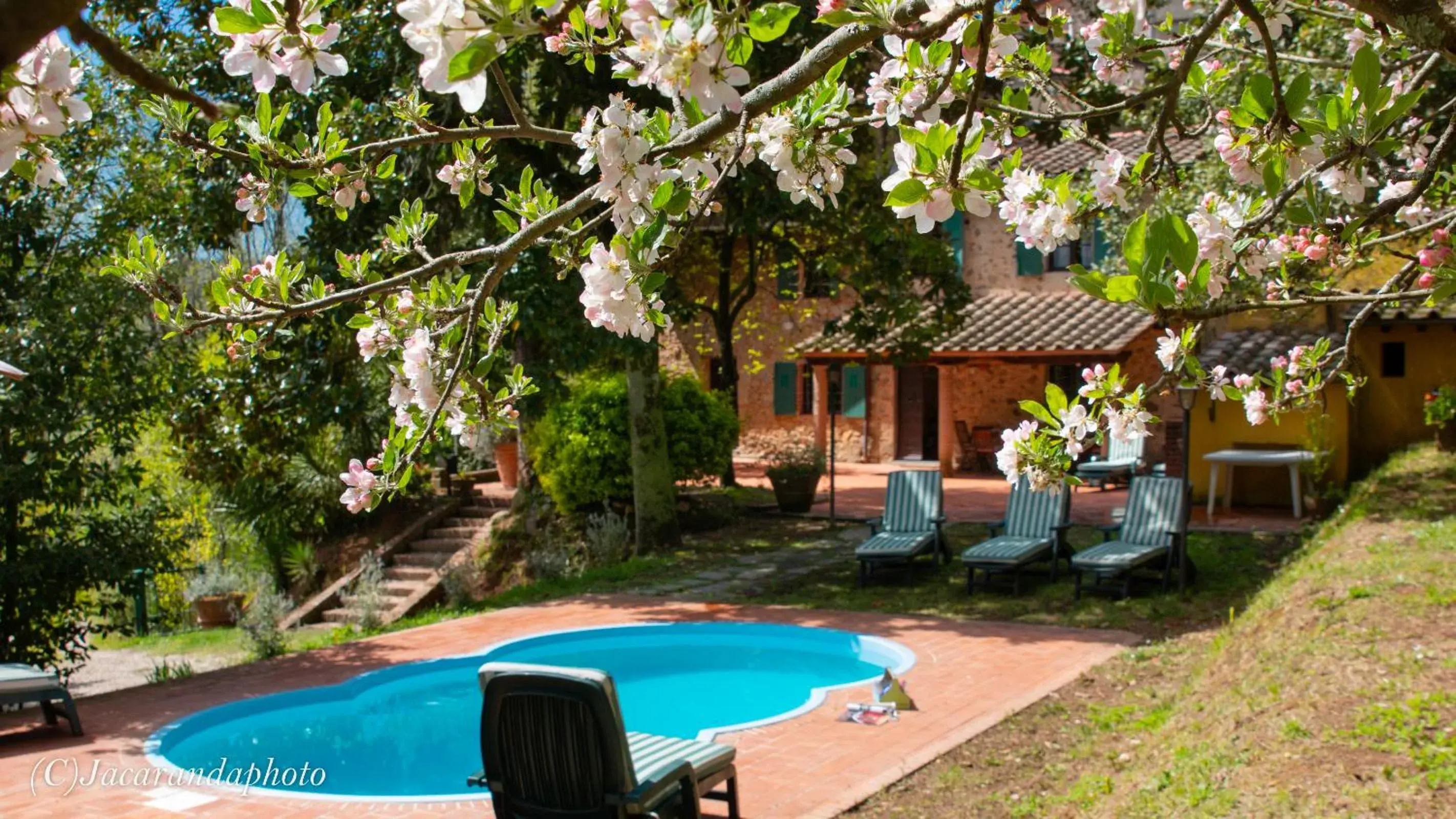 Villa la Pieve Villa la Pieve