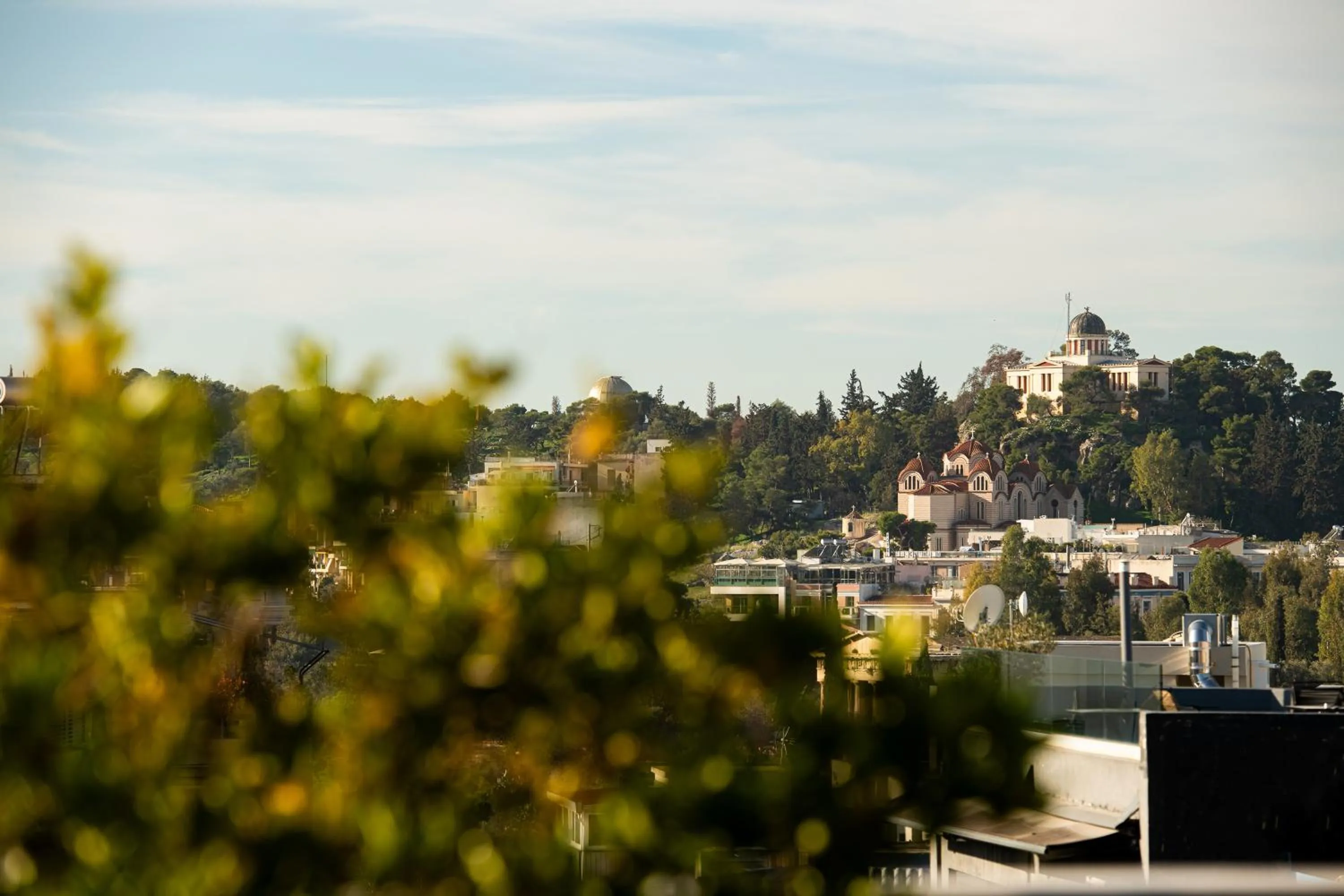 Natural landscape in Urban Nest - Suites & Apartments