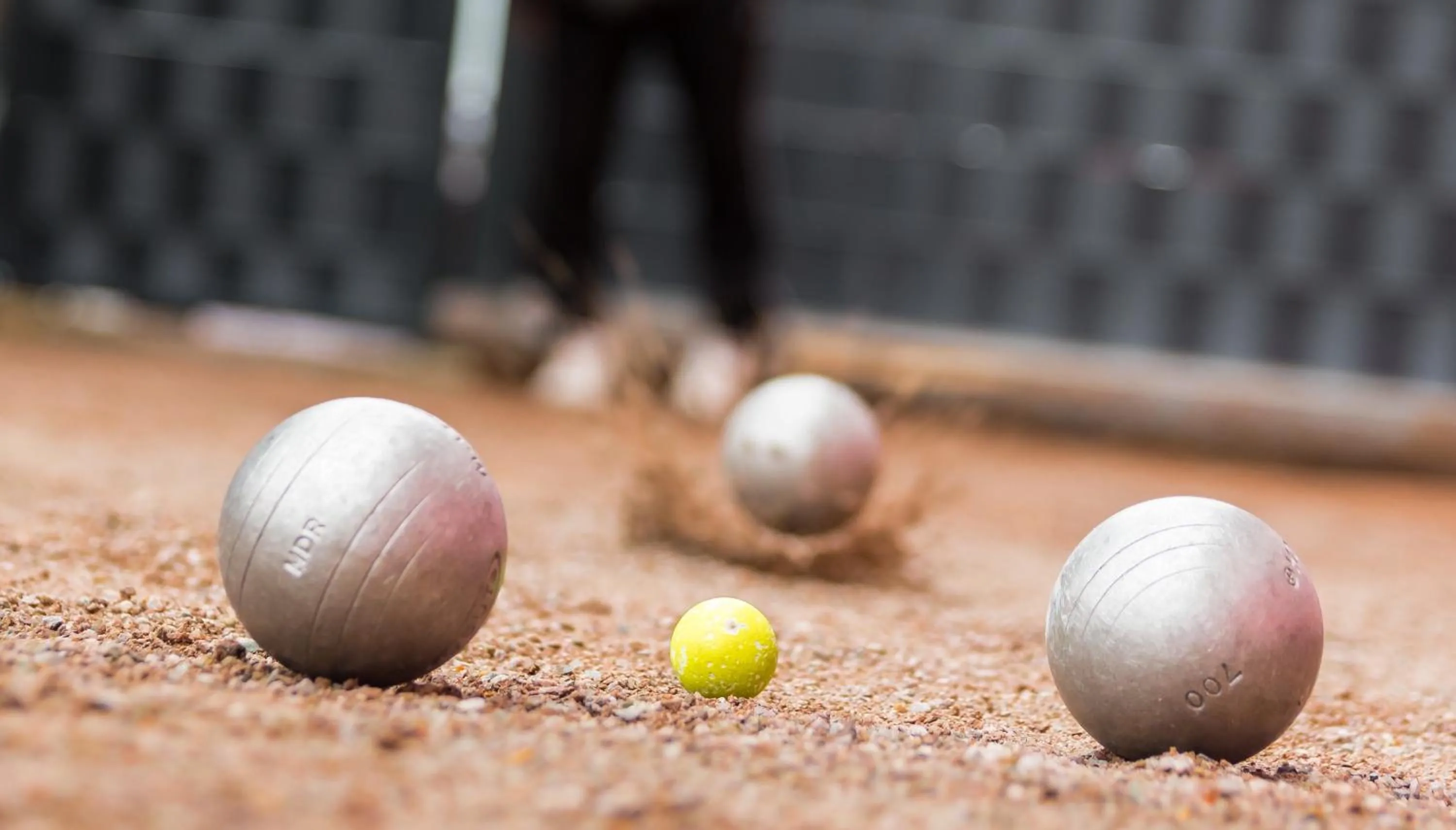 Activities in L'Attrap'Rêves : Le confort Hôtelier, la convivialité en plus