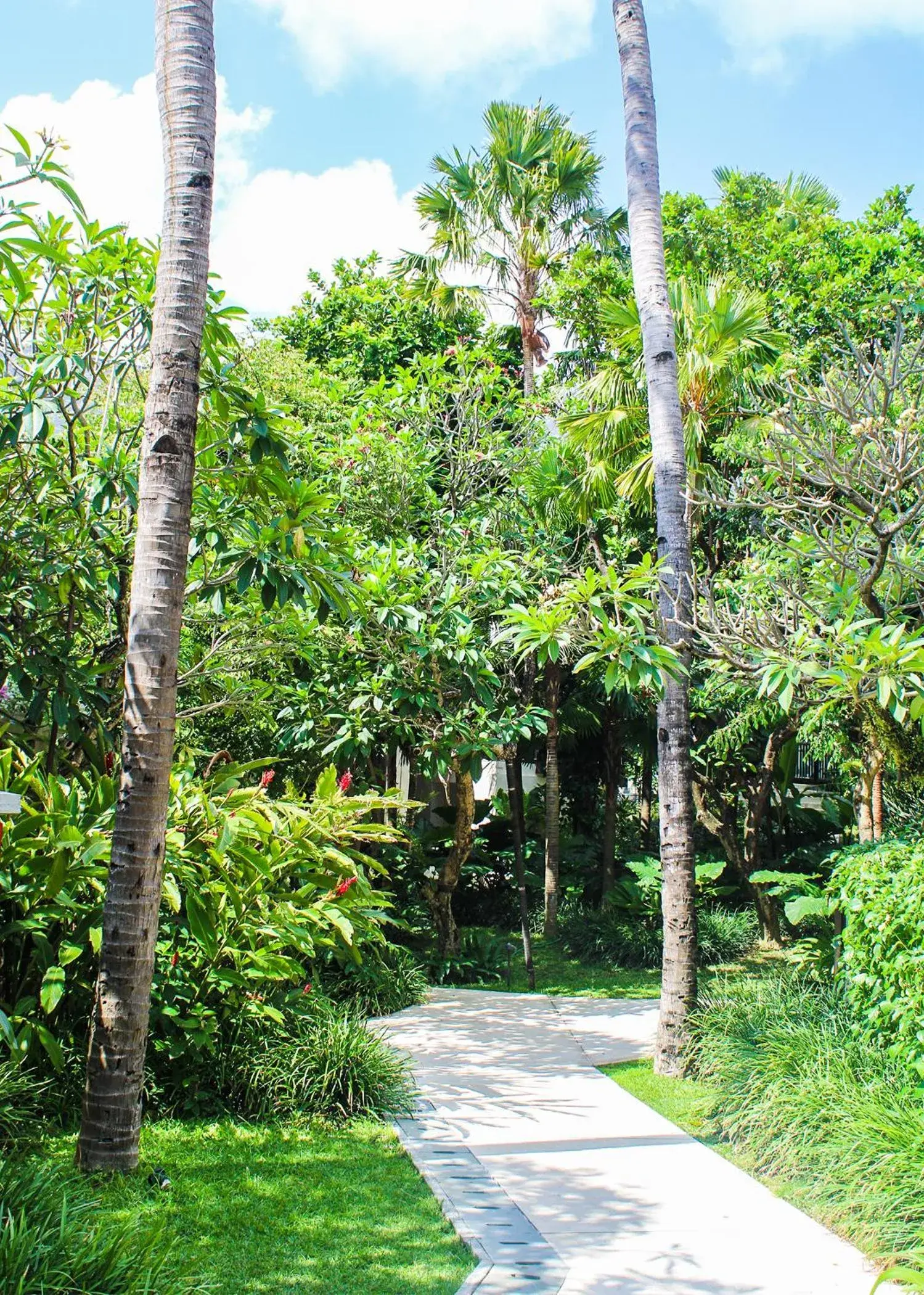 Garden in Ramayana Suites and Resort