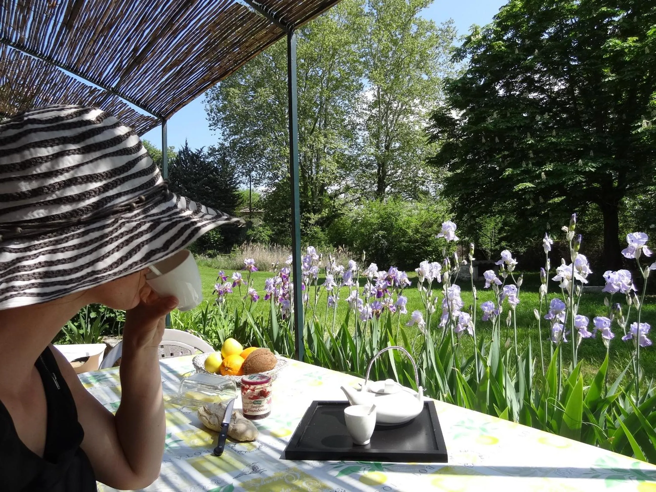 Garden view in Le Moulin Des Ocres
