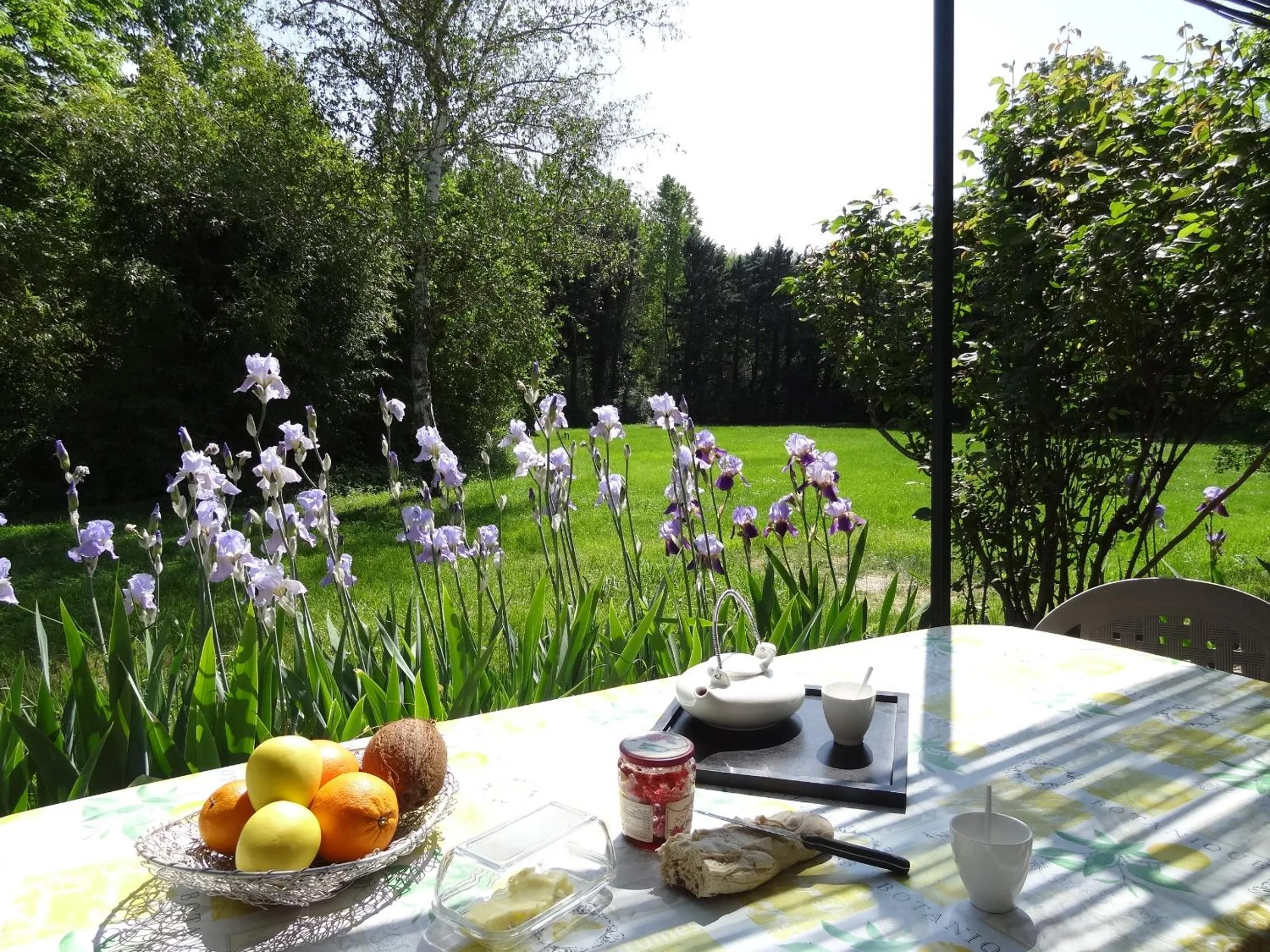 Garden view in Le Moulin Des Ocres