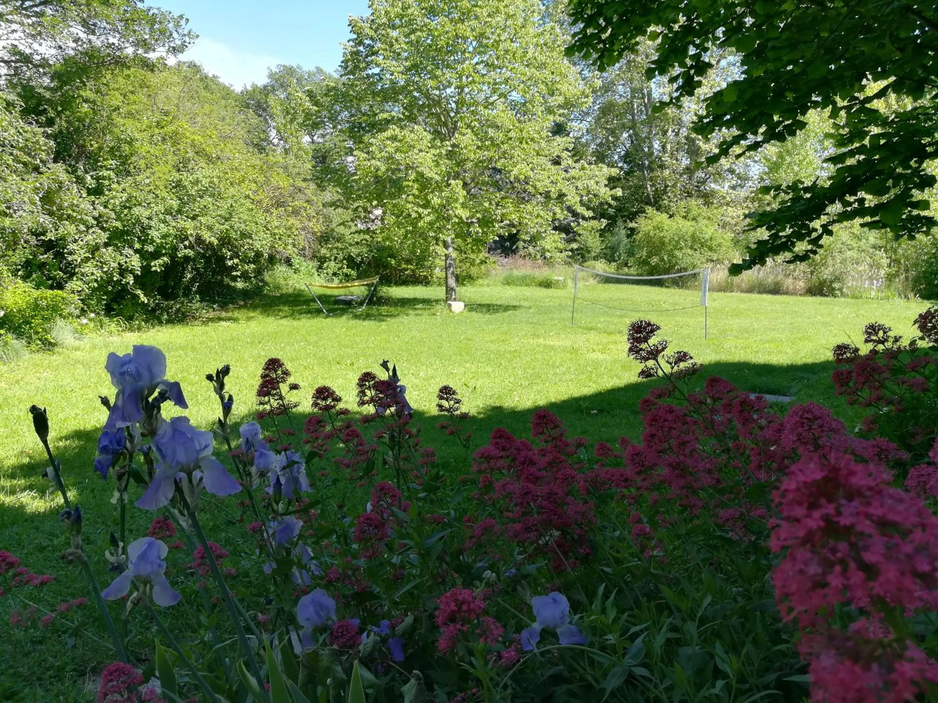 Garden in Le Moulin Des Ocres