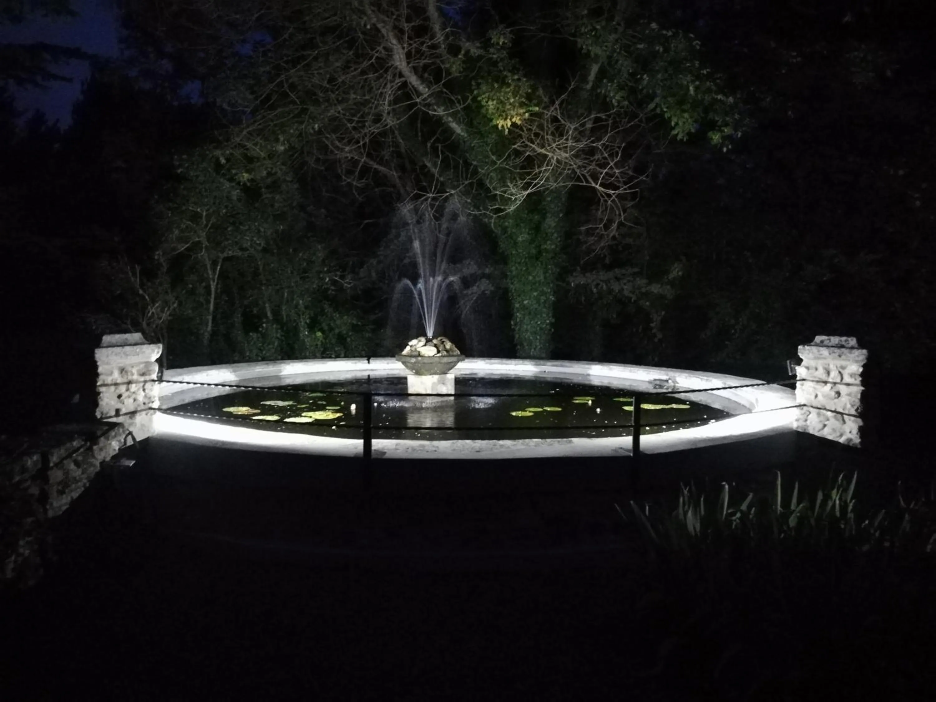 Garden in Le Moulin Des Ocres