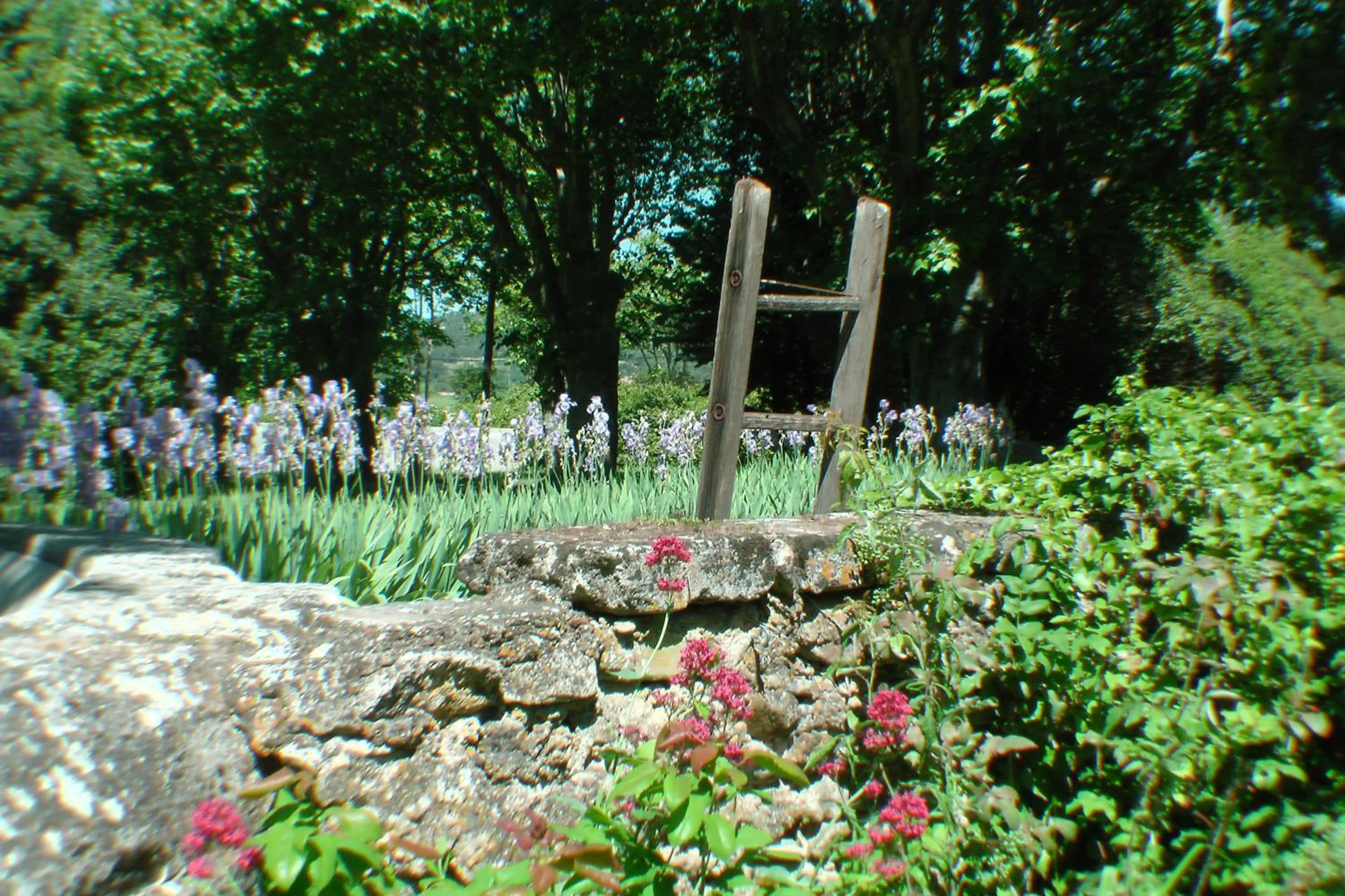 Garden in Le Moulin Des Ocres