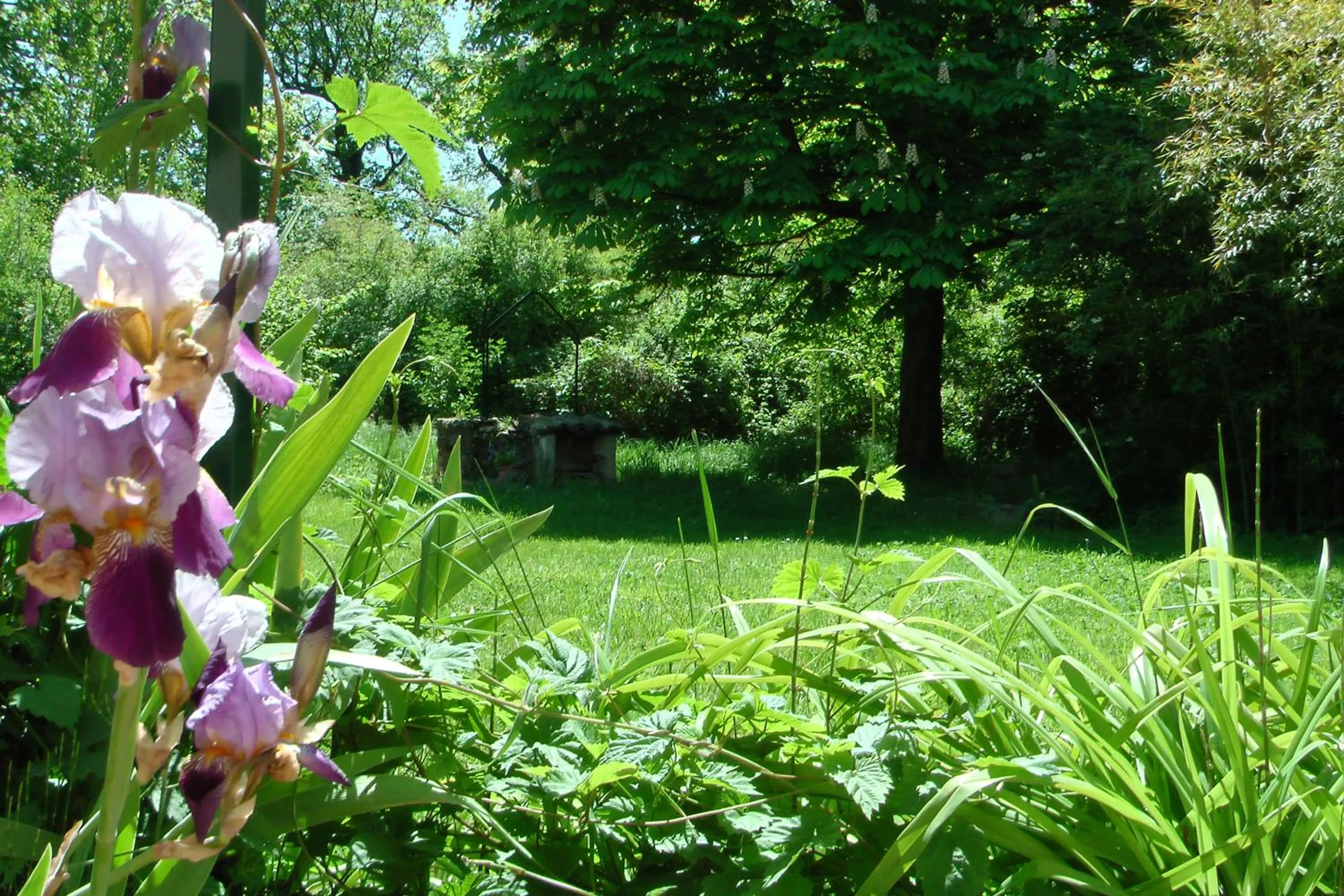 Garden in Le Moulin Des Ocres