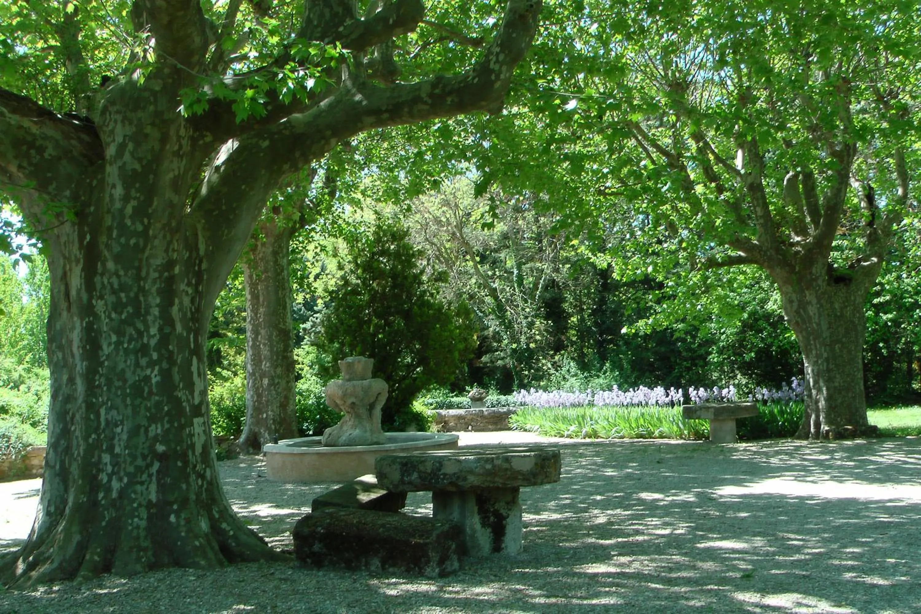 Garden in Le Moulin Des Ocres