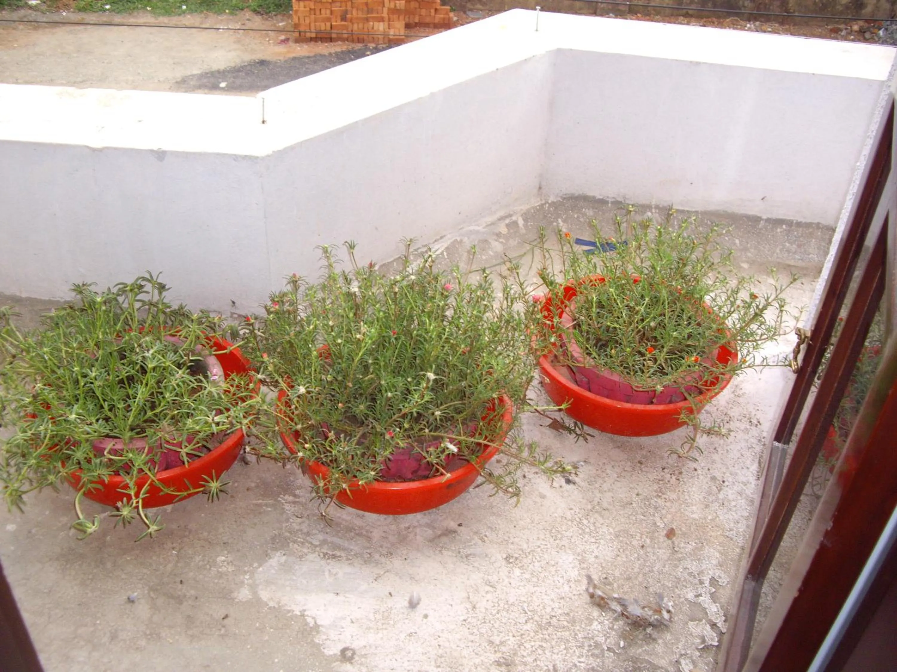 Balcony/Terrace in Elim Homestay Fort Kochi
