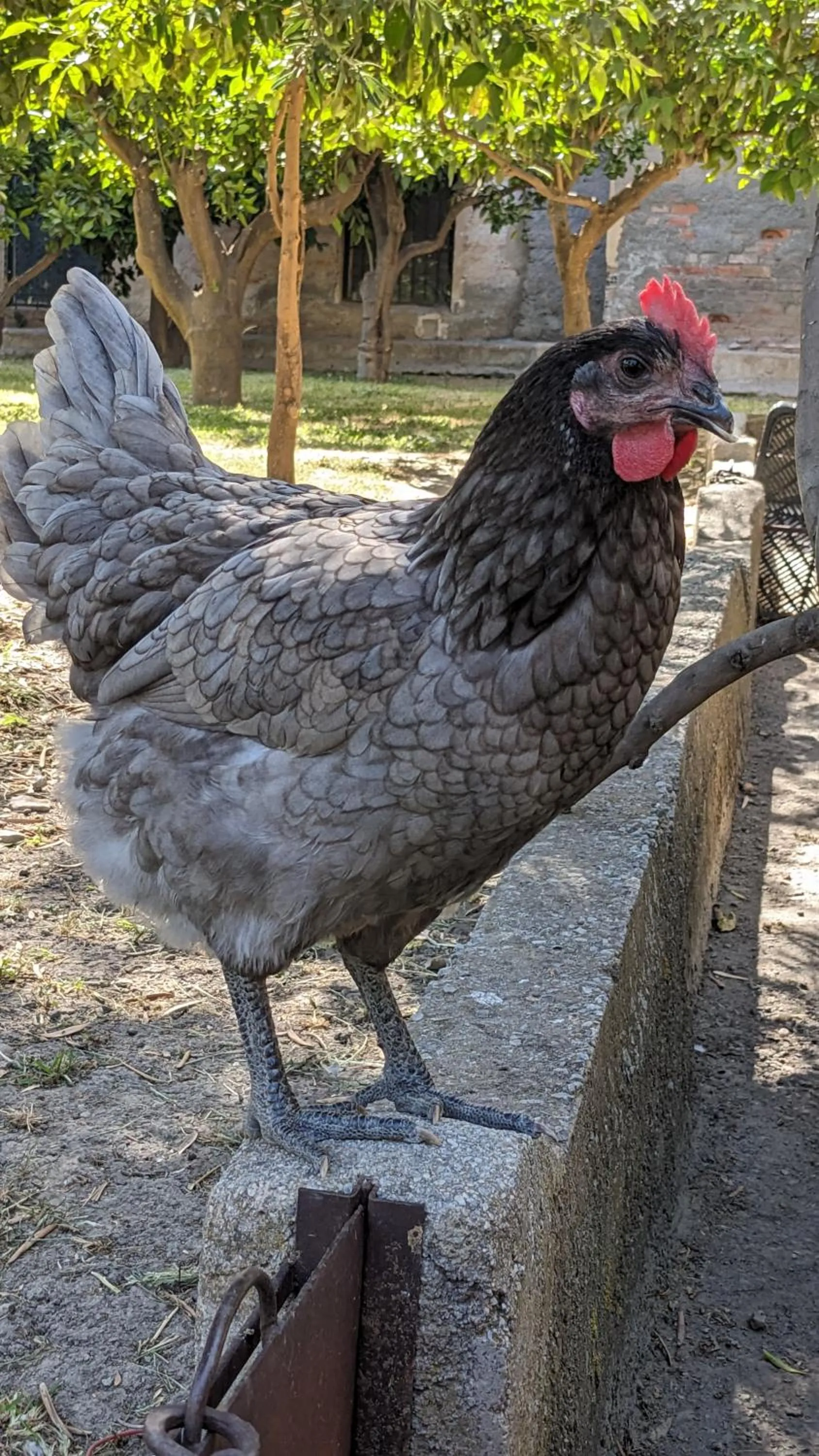 Day in La Cañota King Rooms Adults Only