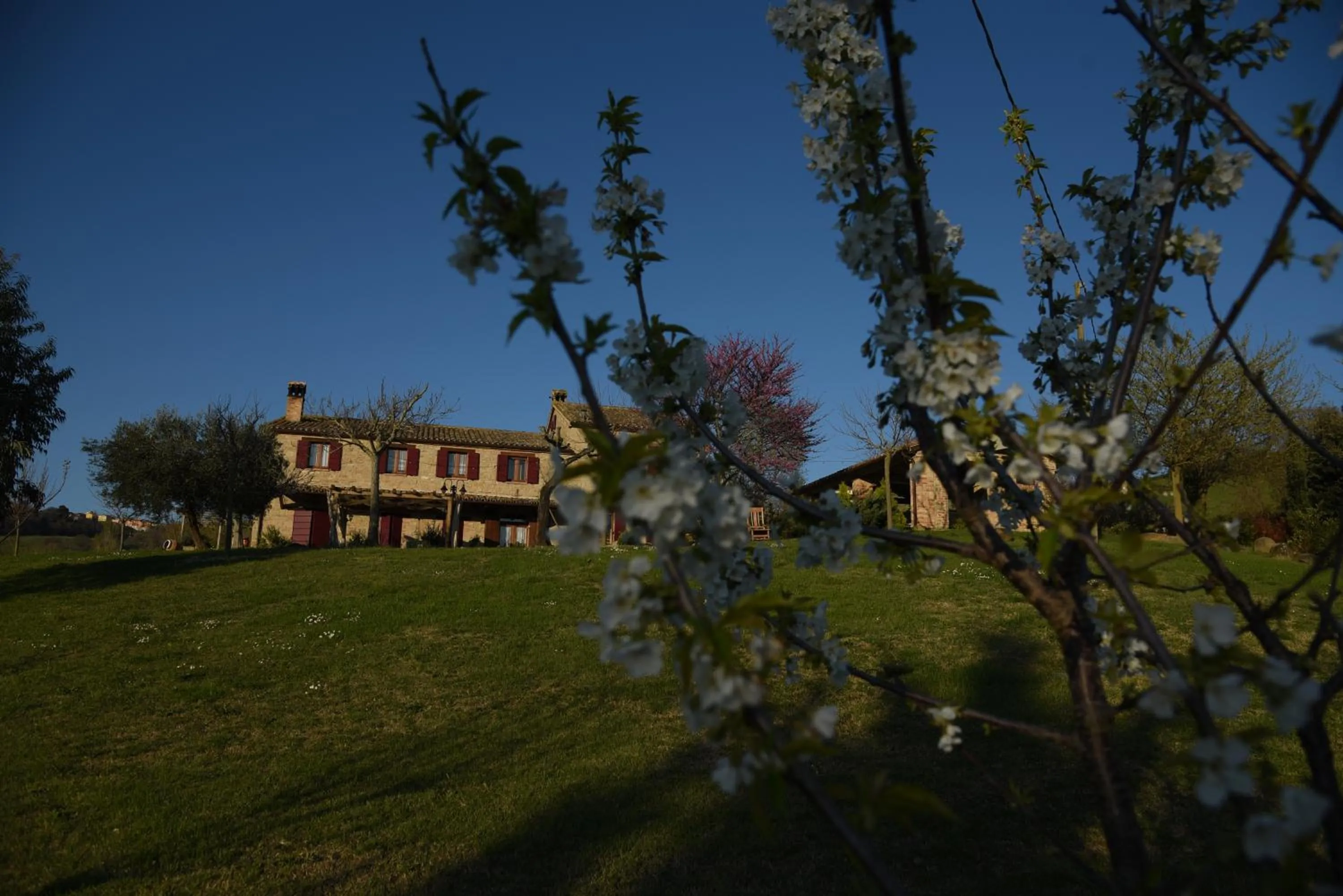 Spring in Quelli del Picchio