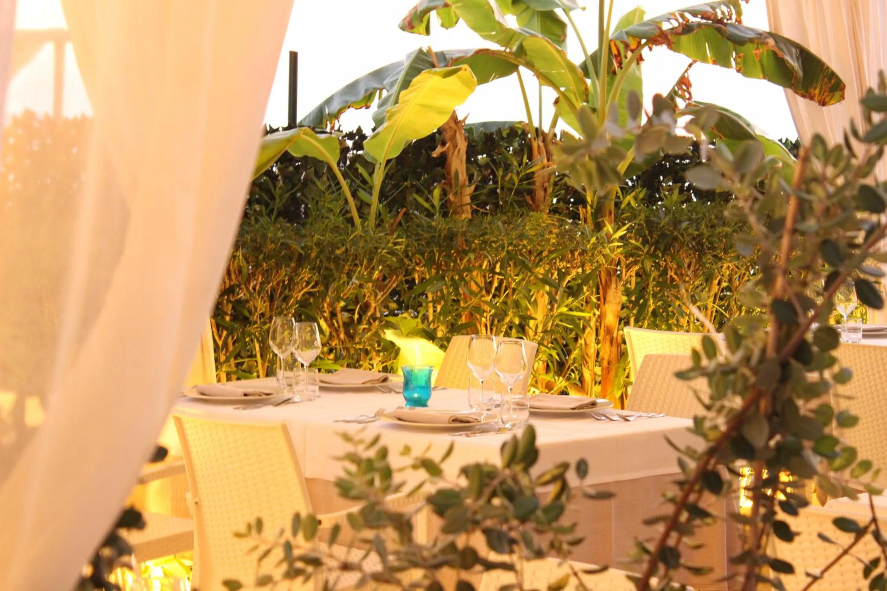 Restaurant/places to eat in Blu Tropical Resort