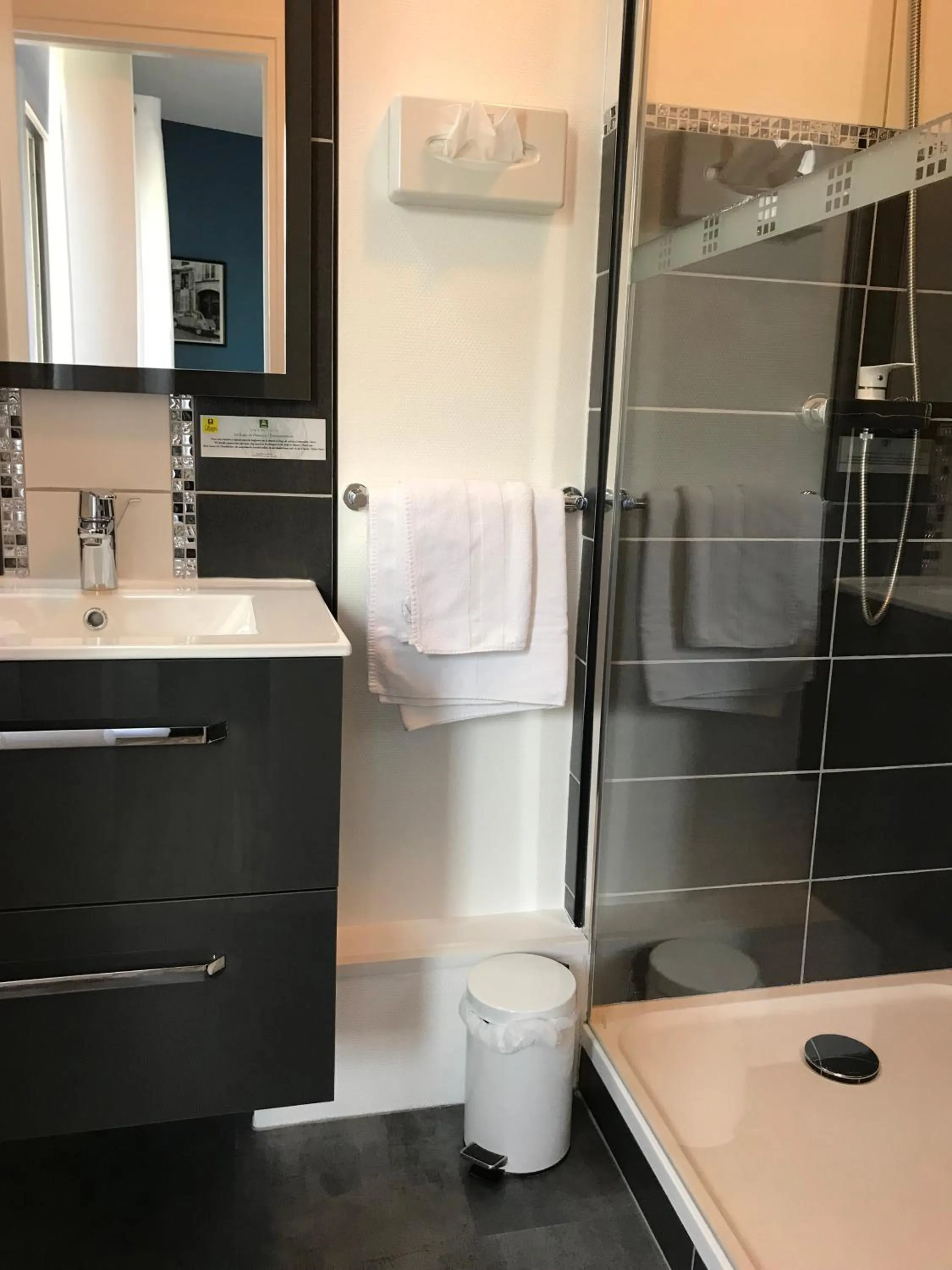 Shower in Logis Hôtel de la Bruyere