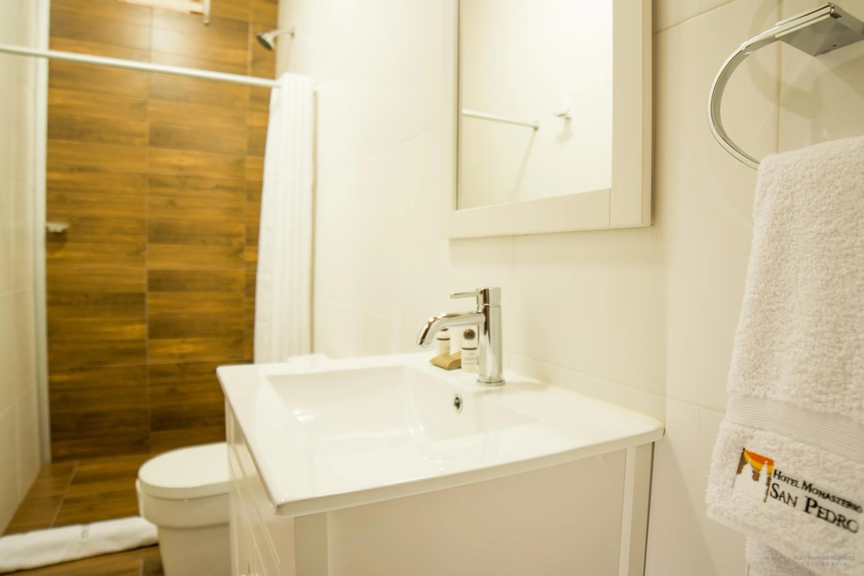 Shower in Hotel San Pedro Plaza