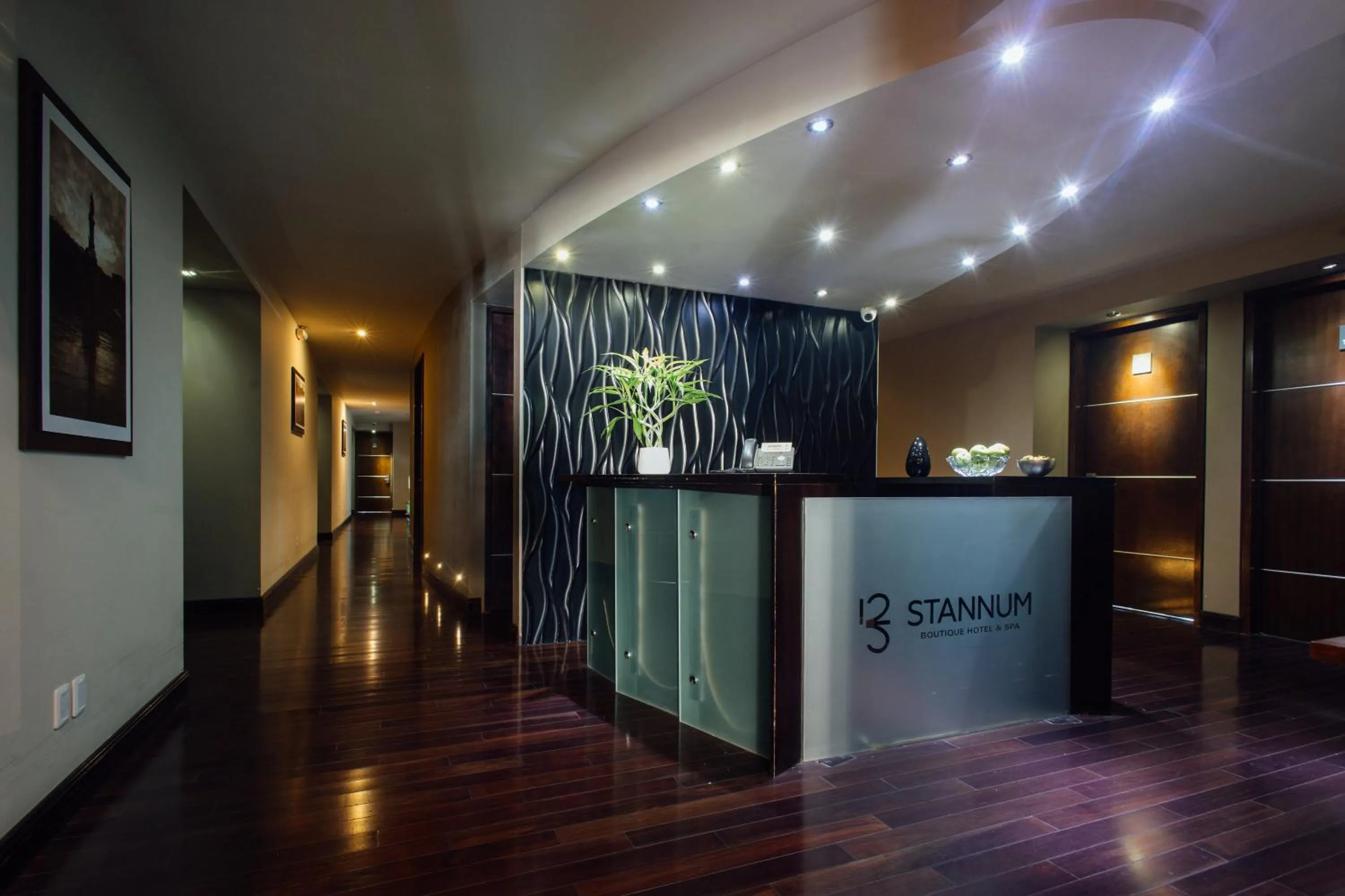 Lobby or reception in Stannum Boutique Hotel & Spa
