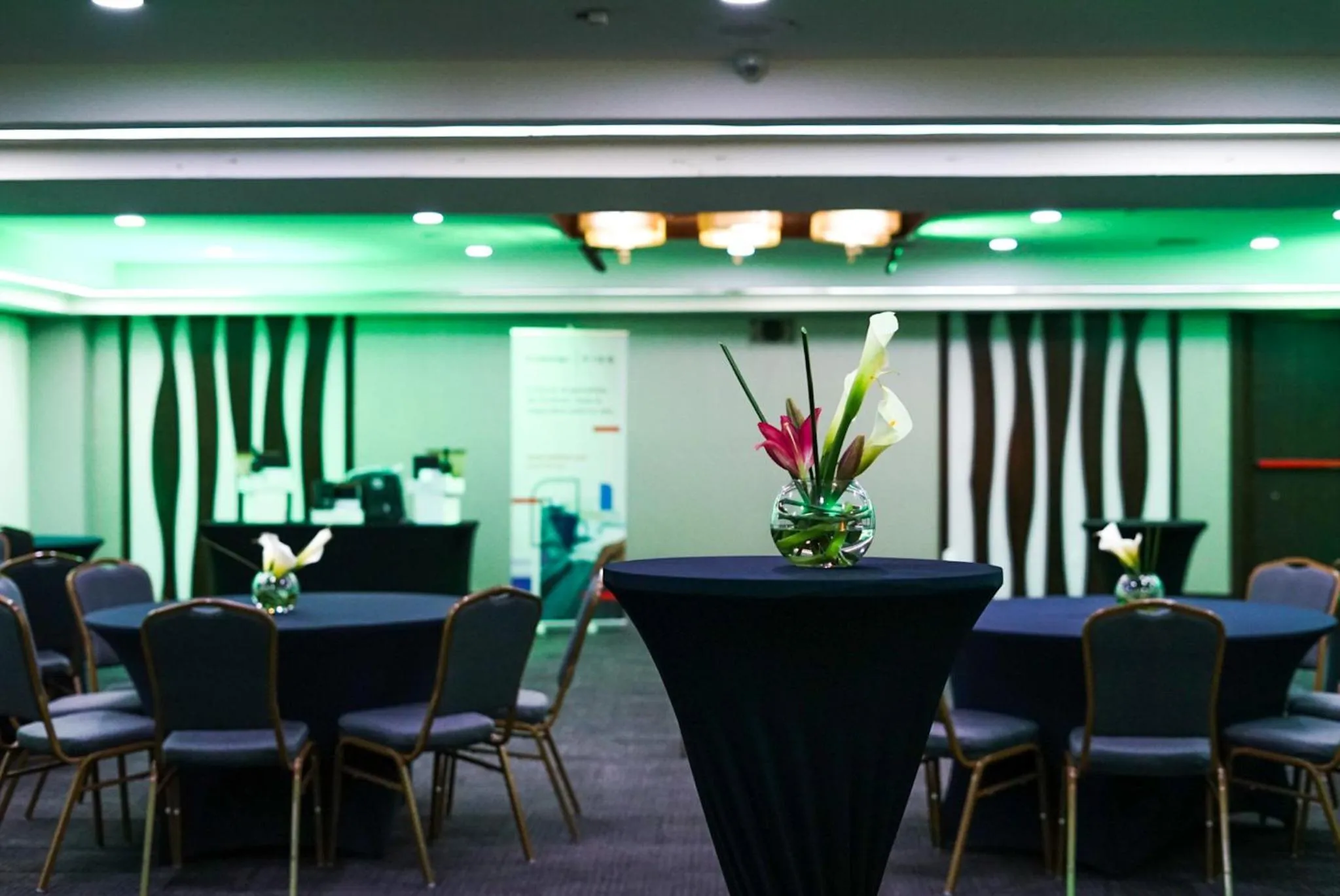 Banquet/Function facilities in Stannum Boutique Hotel & Spa
