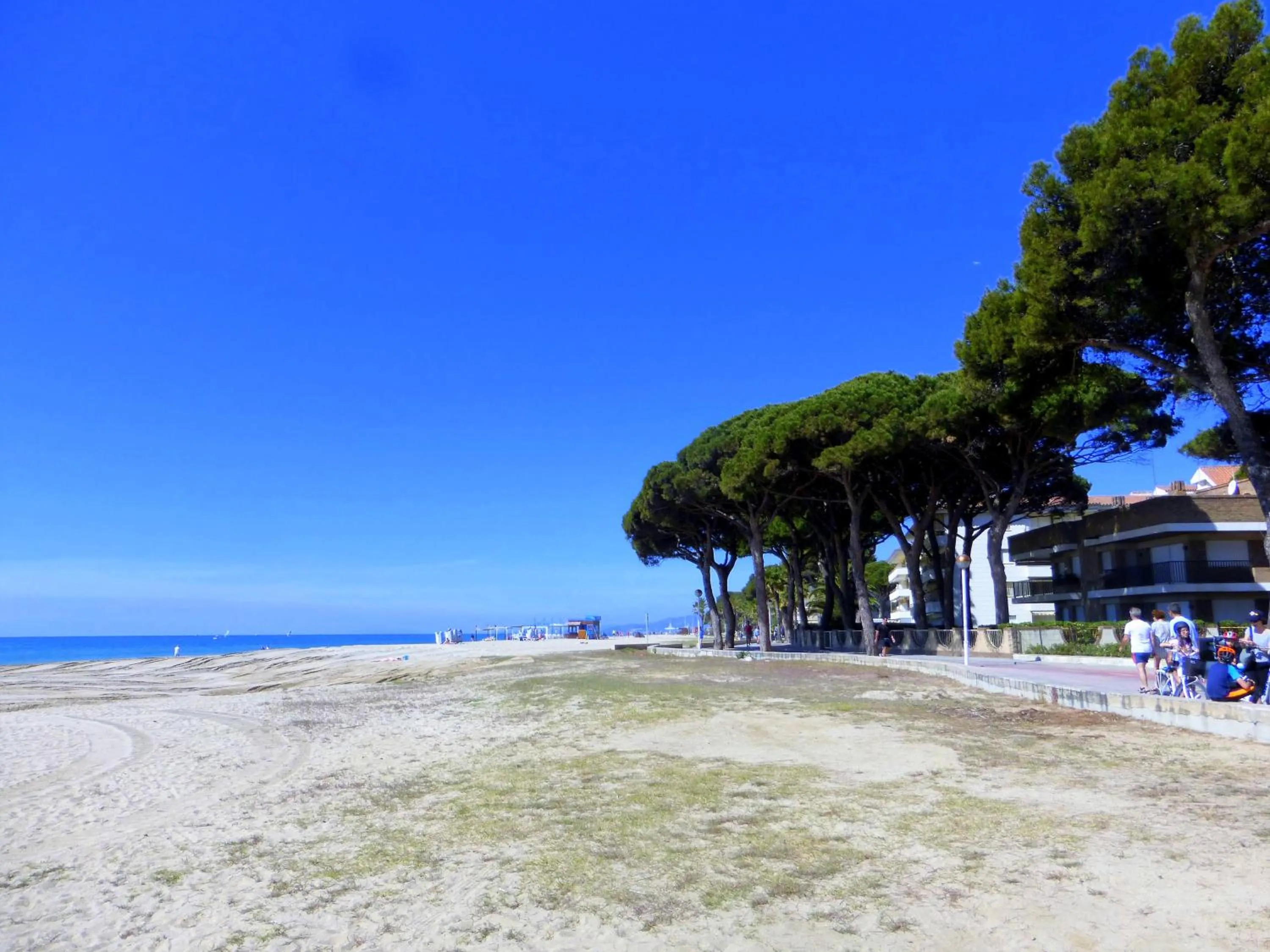Beach in Rentalmar Pins Marina