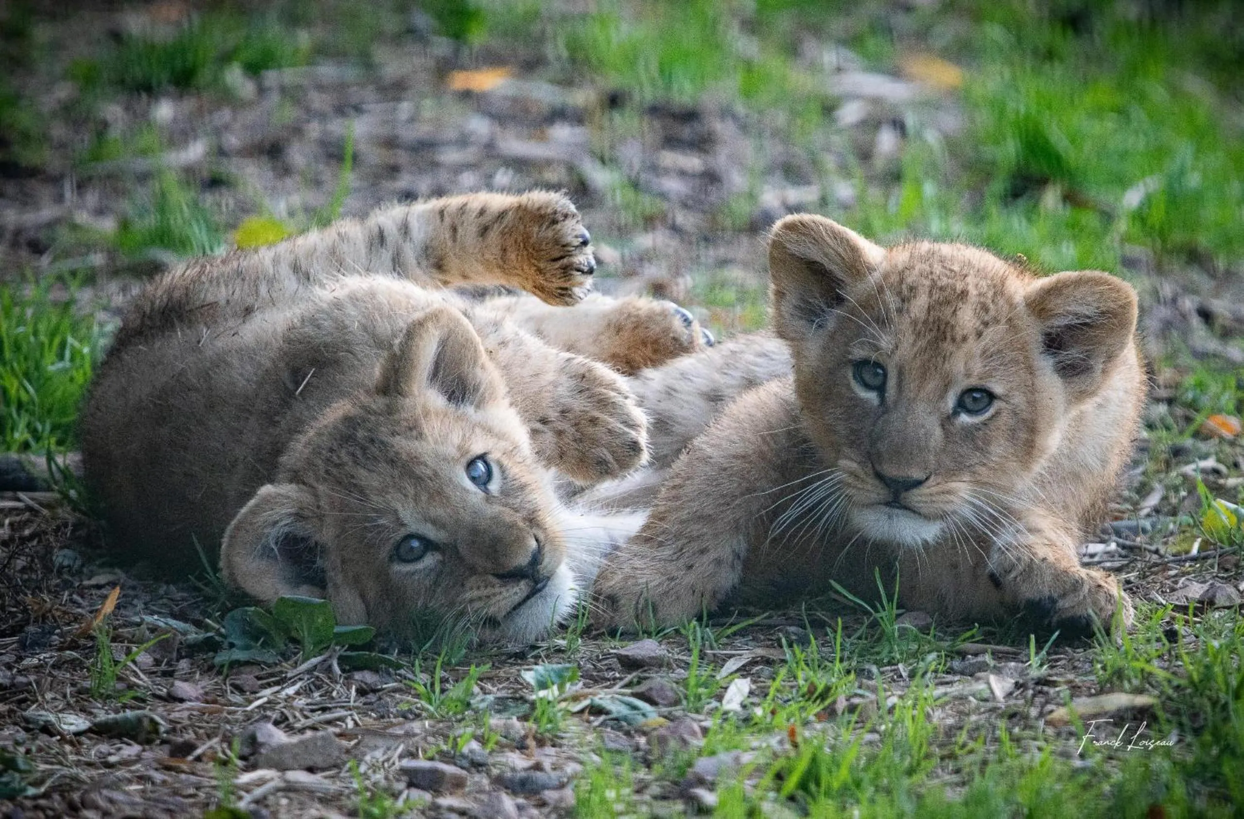 Nearby landmark in ibis budget Lisieux