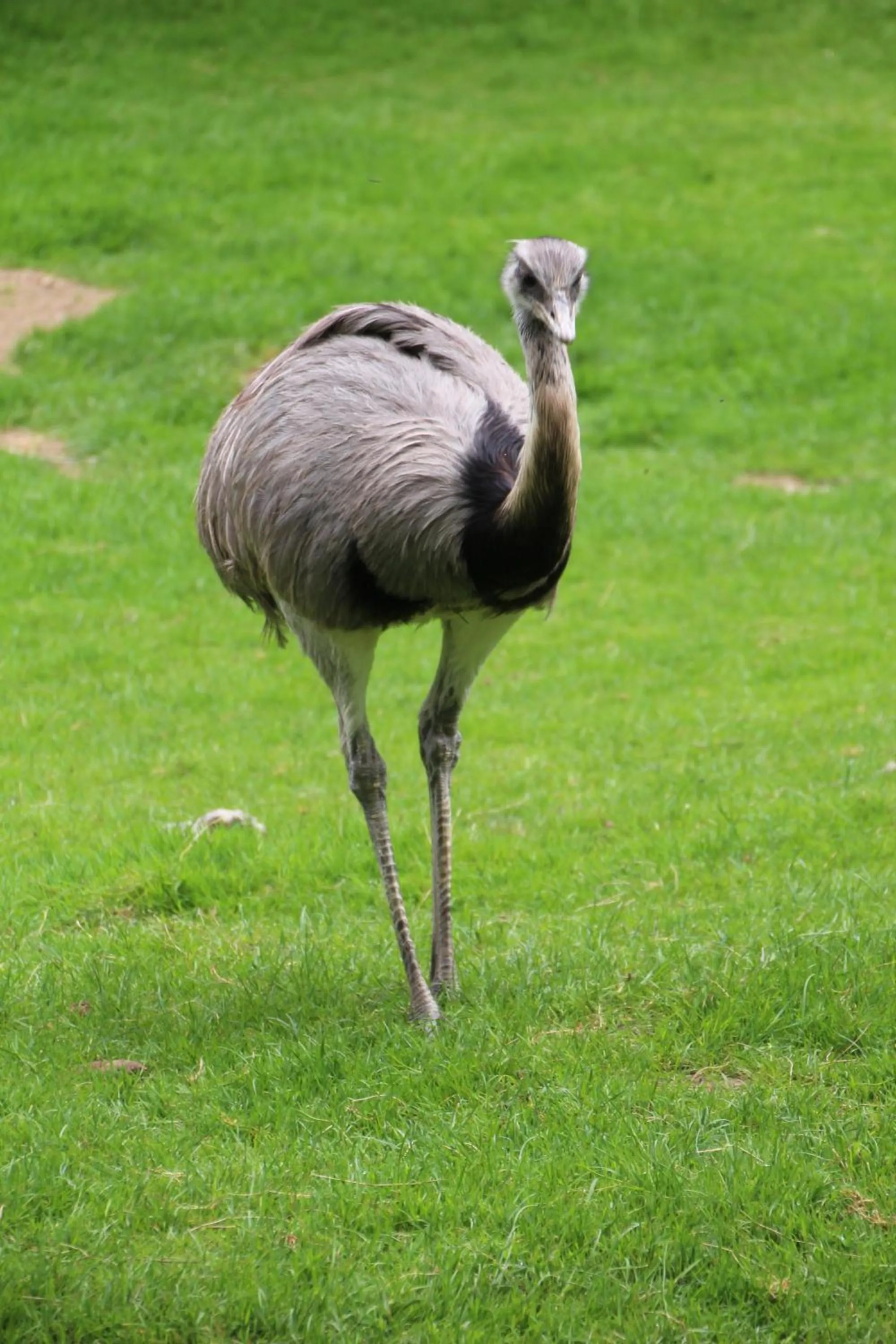 Nearby landmark in ibis budget Lisieux