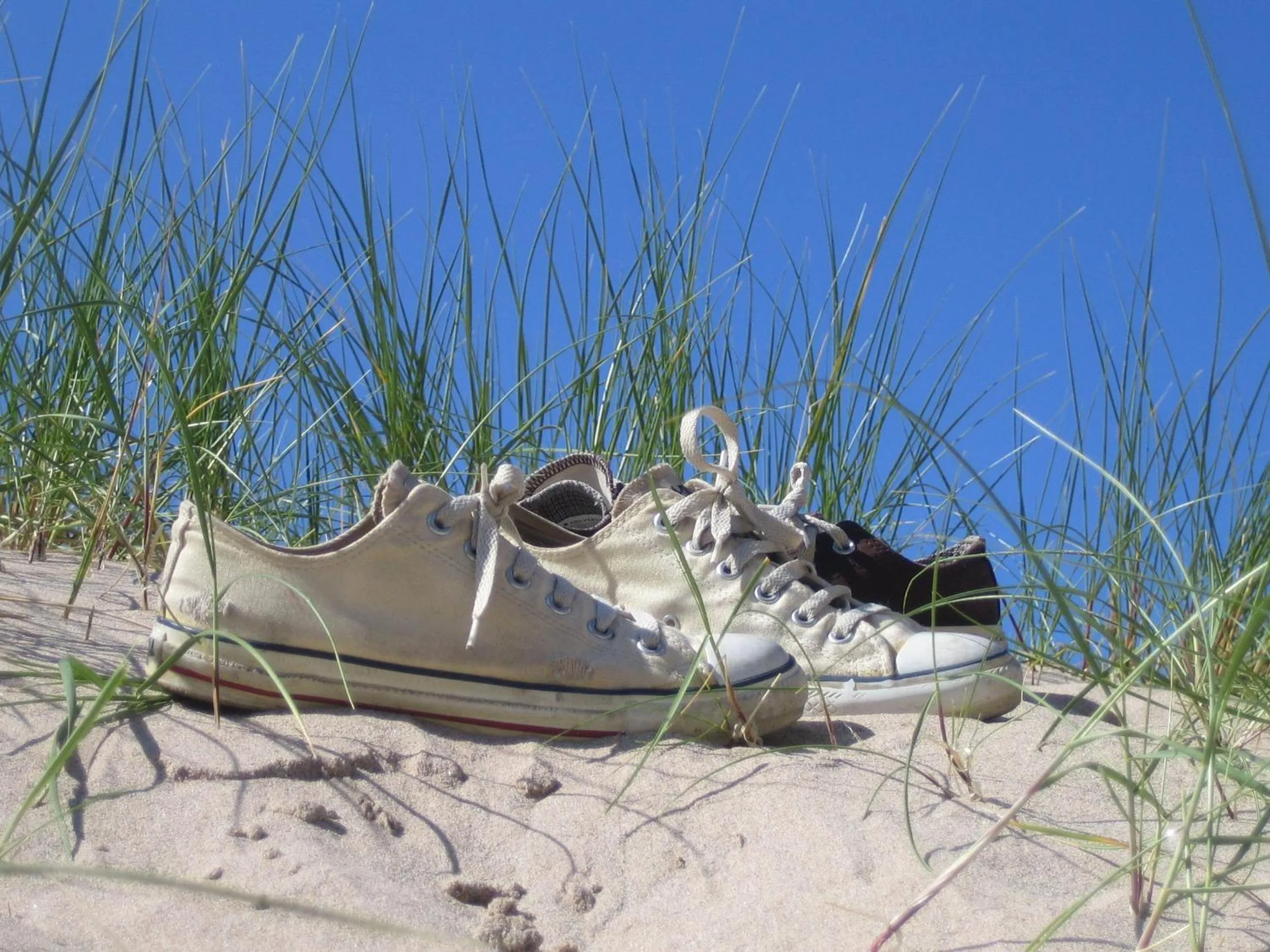 Beach in The Tongue Hotel, by Highland Coast Hotels
