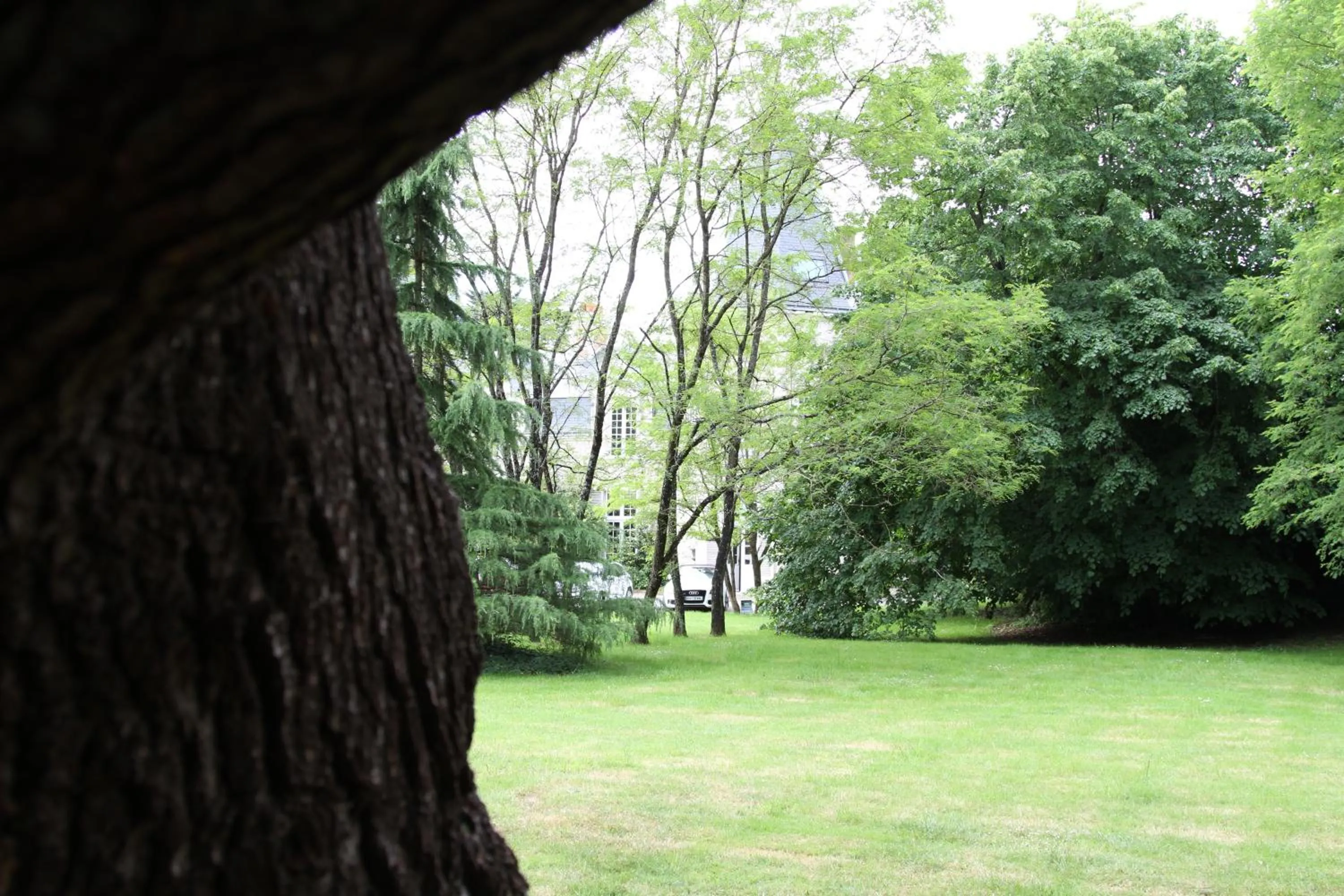 Garden in Château du Bois de La Noe