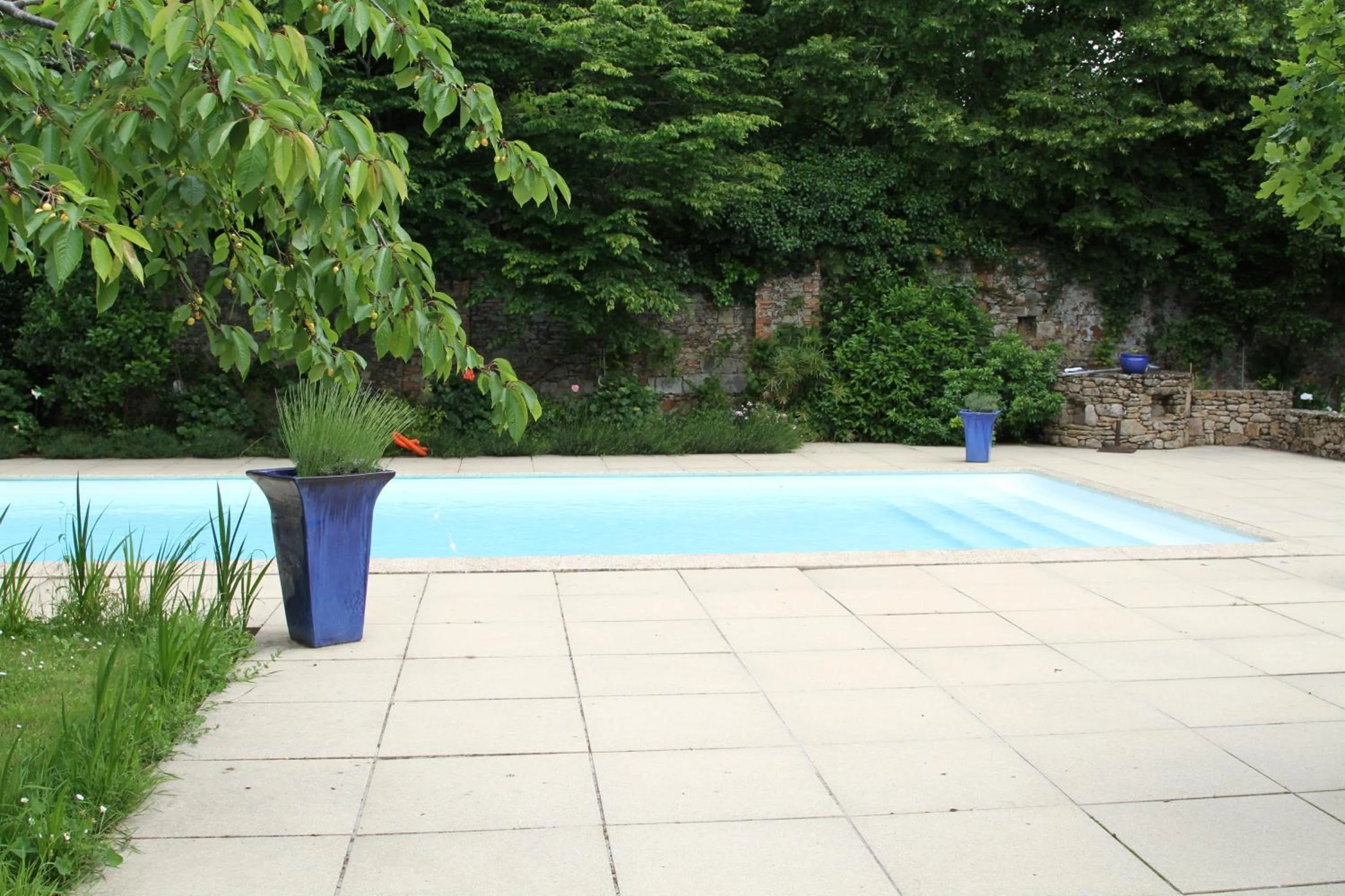Swimming pool in Château du Bois de La Noe