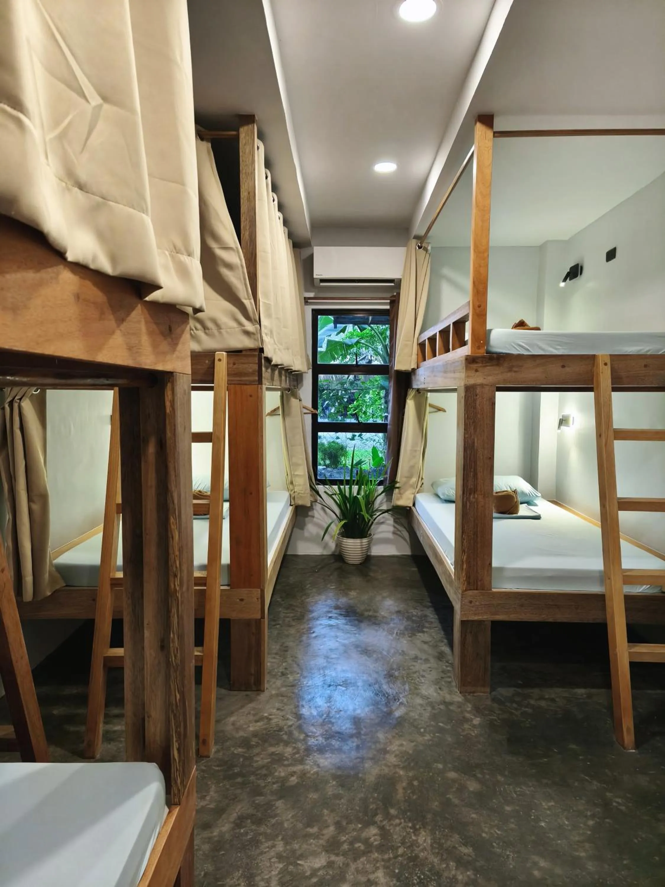 Bed in Sunlit Hostel