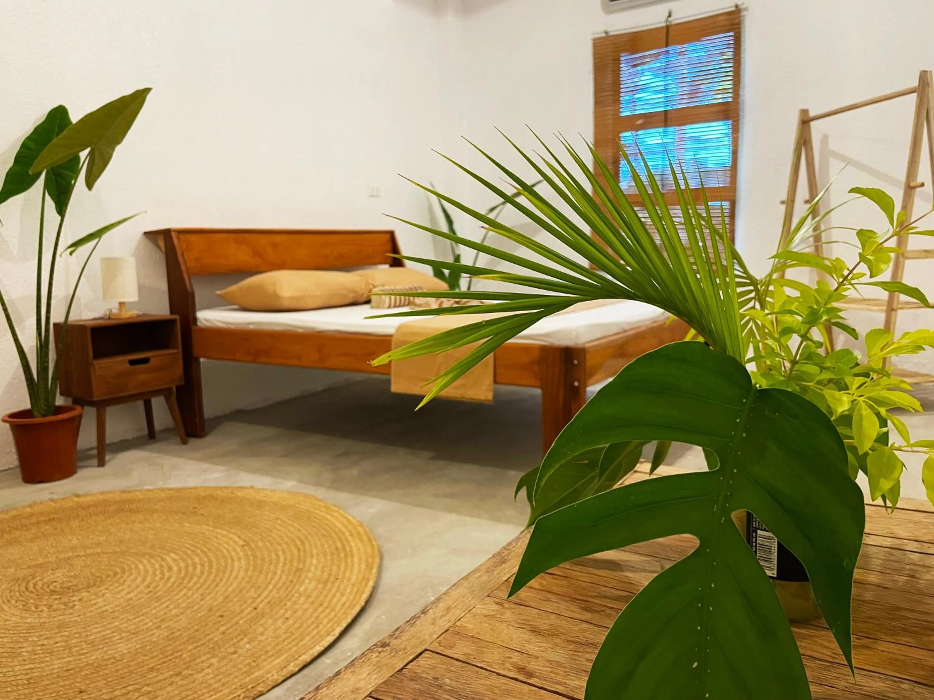 Bed in Sunlit Hostel