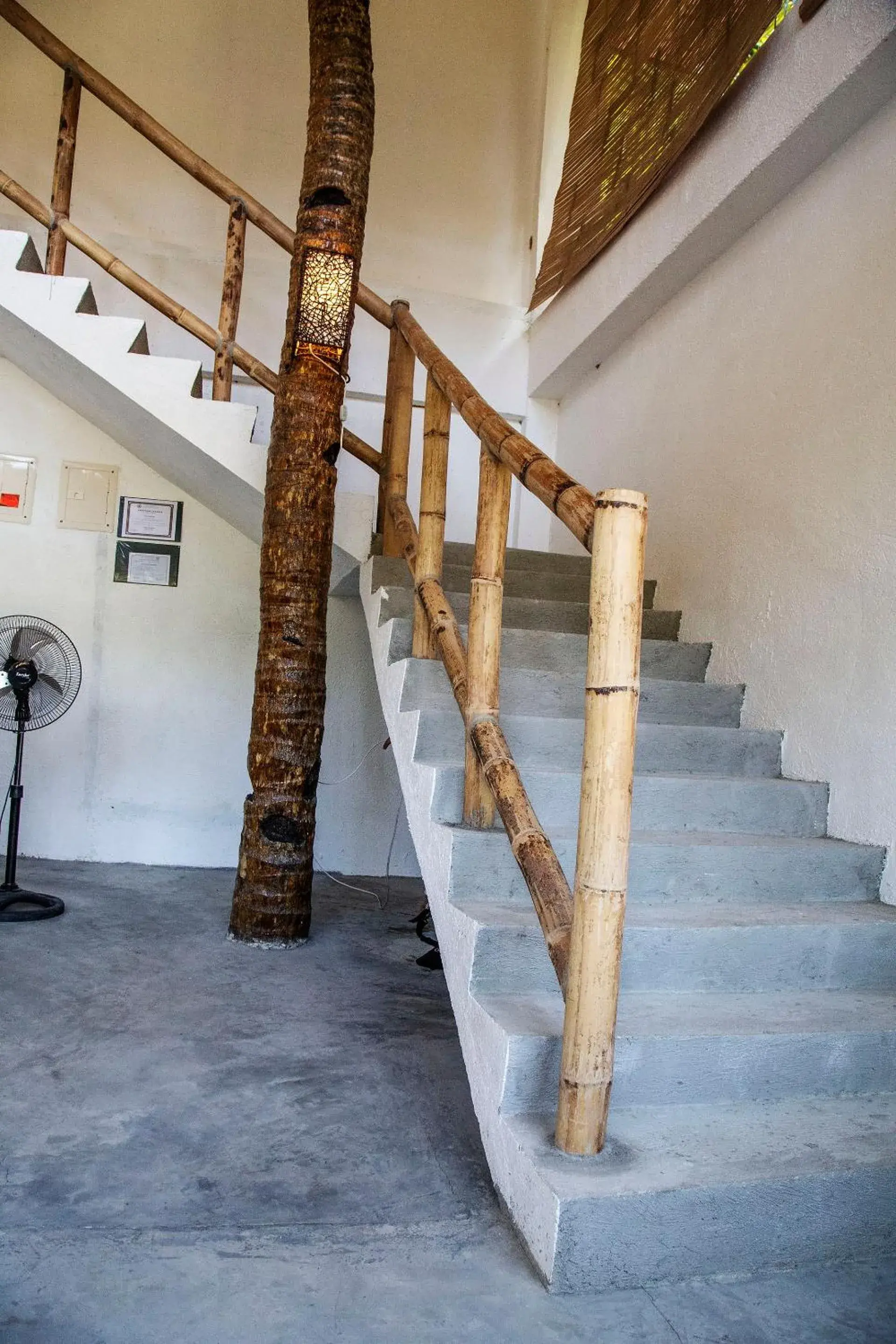 Sunlit Hostel Sunlit Hostel