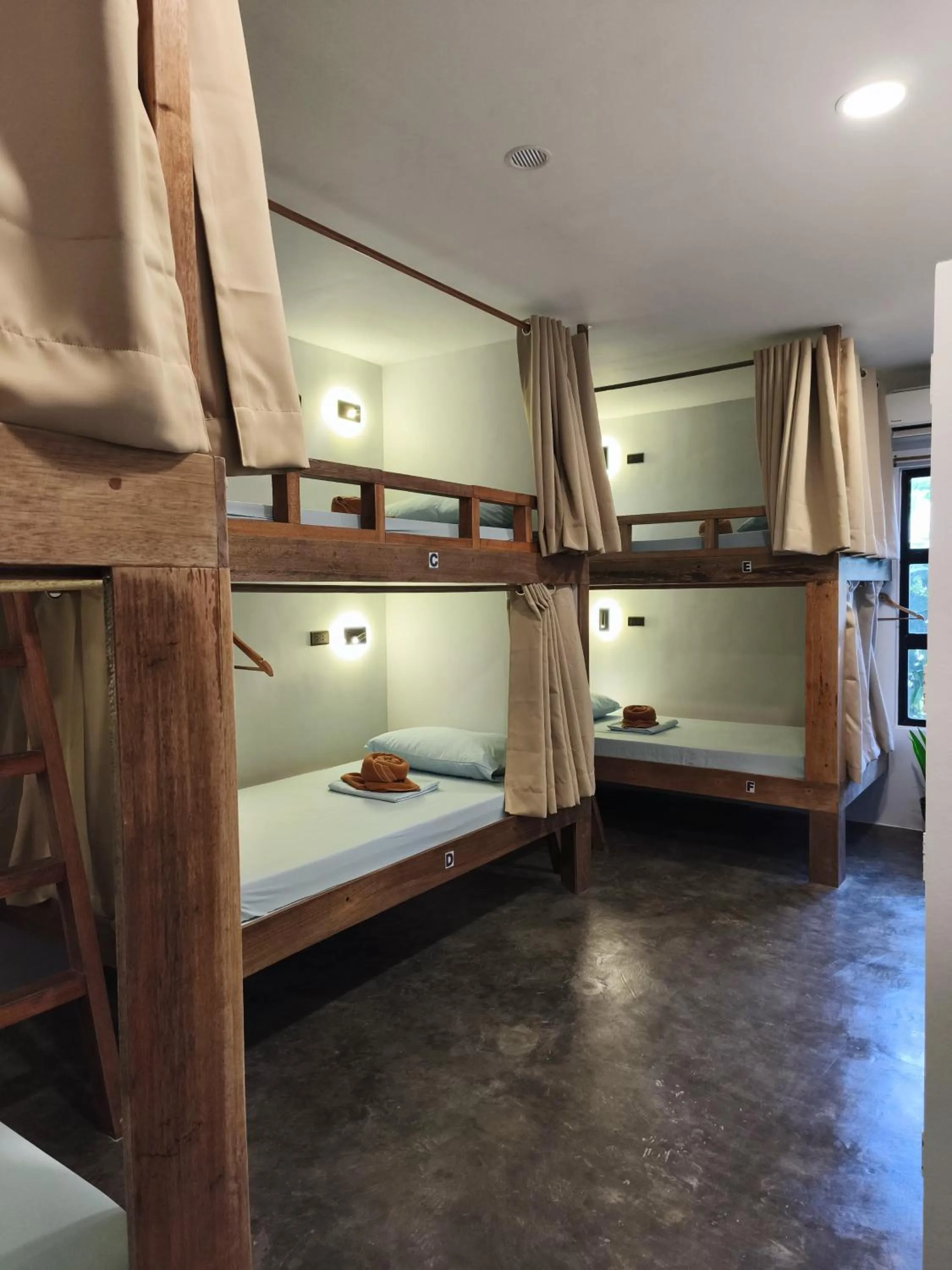 Bed in Sunlit Hostel