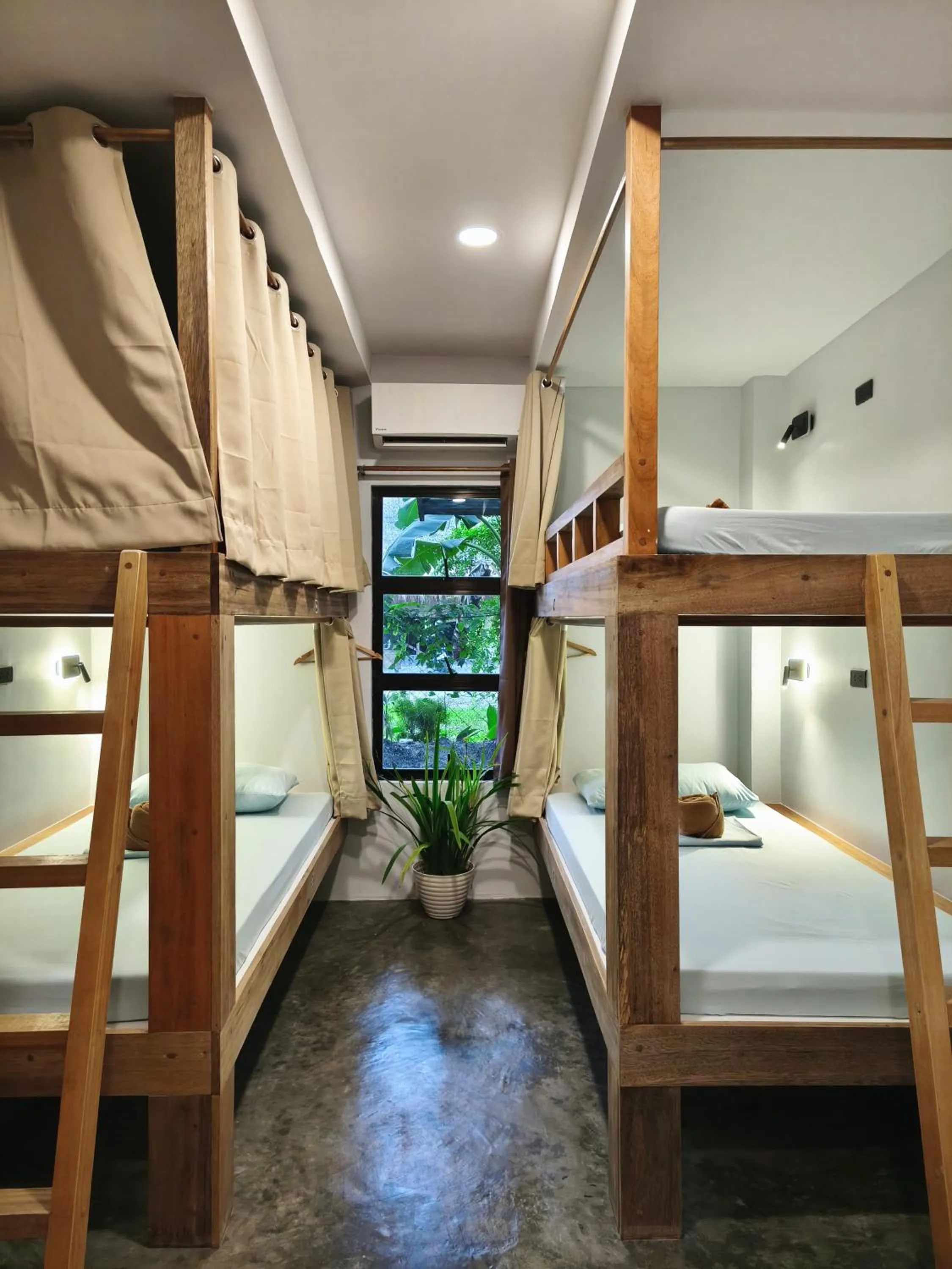 Bed in Sunlit Hostel