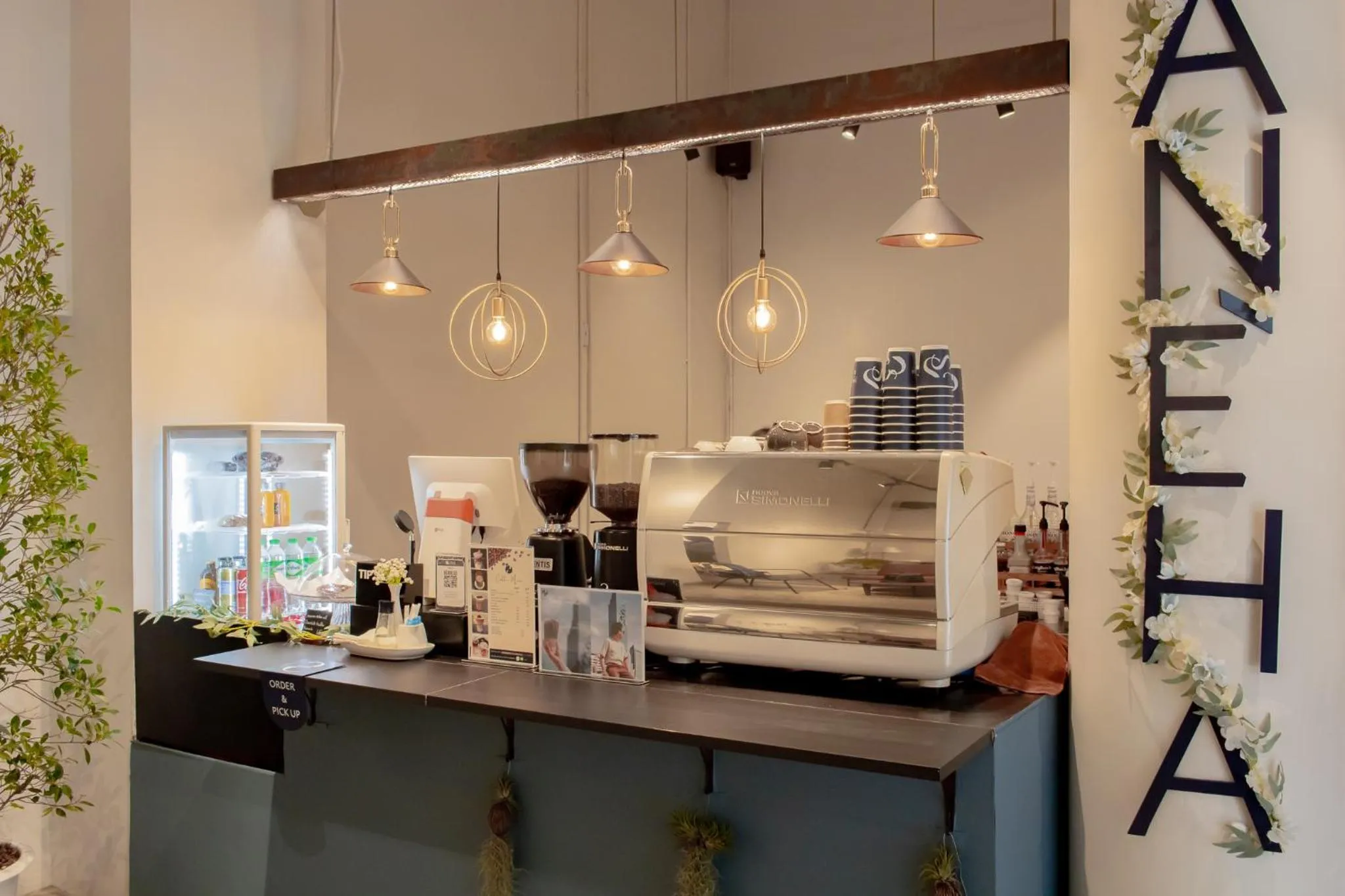 Area and facilities in Chocolate box mint