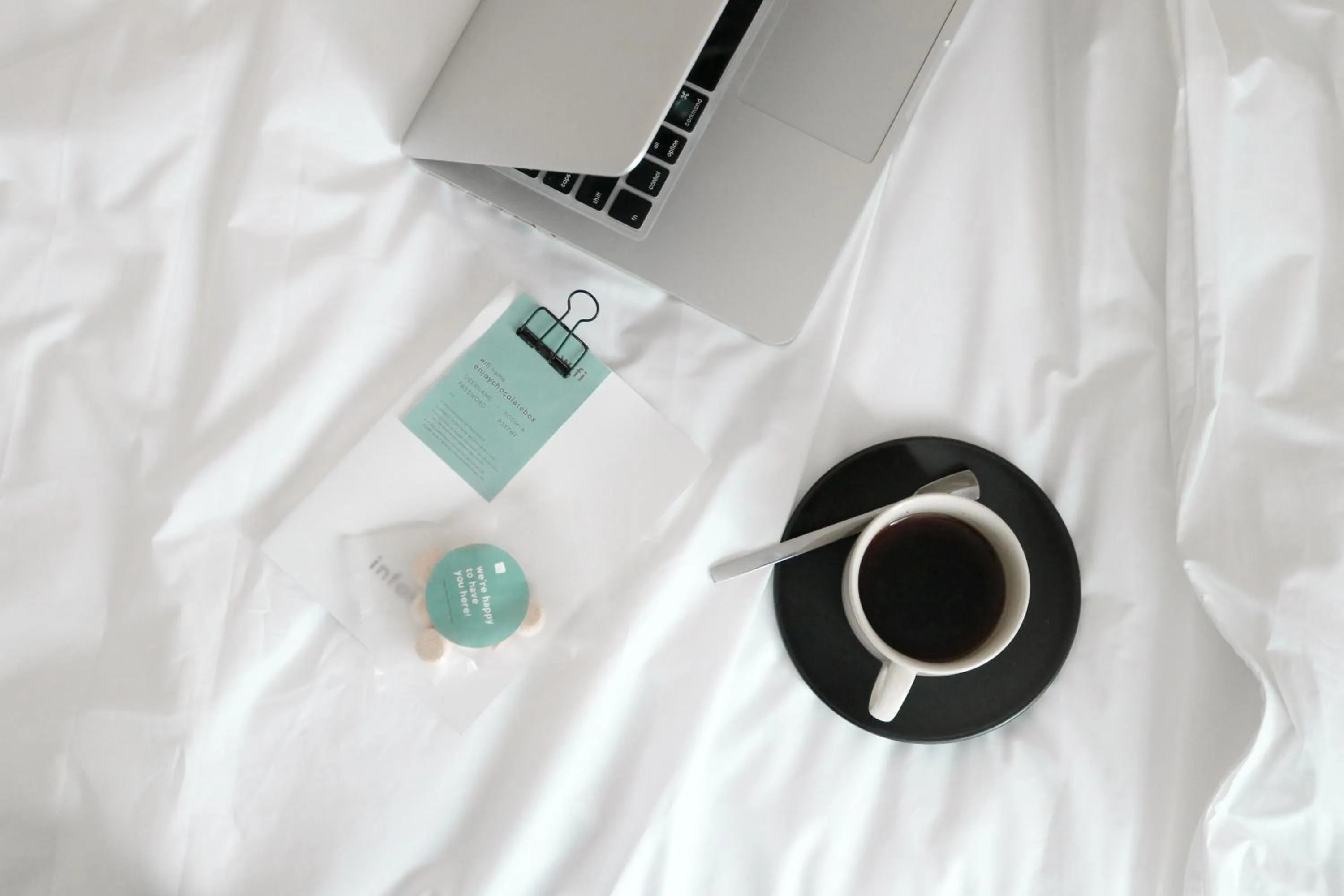 Logo/Certificate/Sign in Chocolate box mint