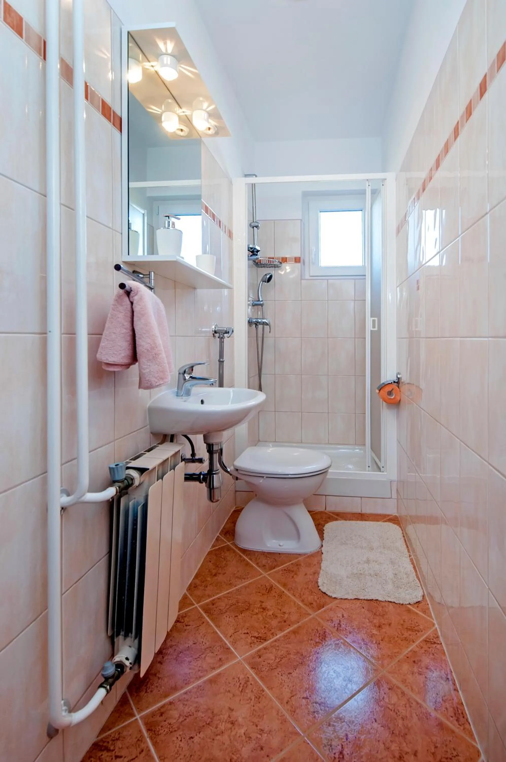 Shower in Apartment Ivo