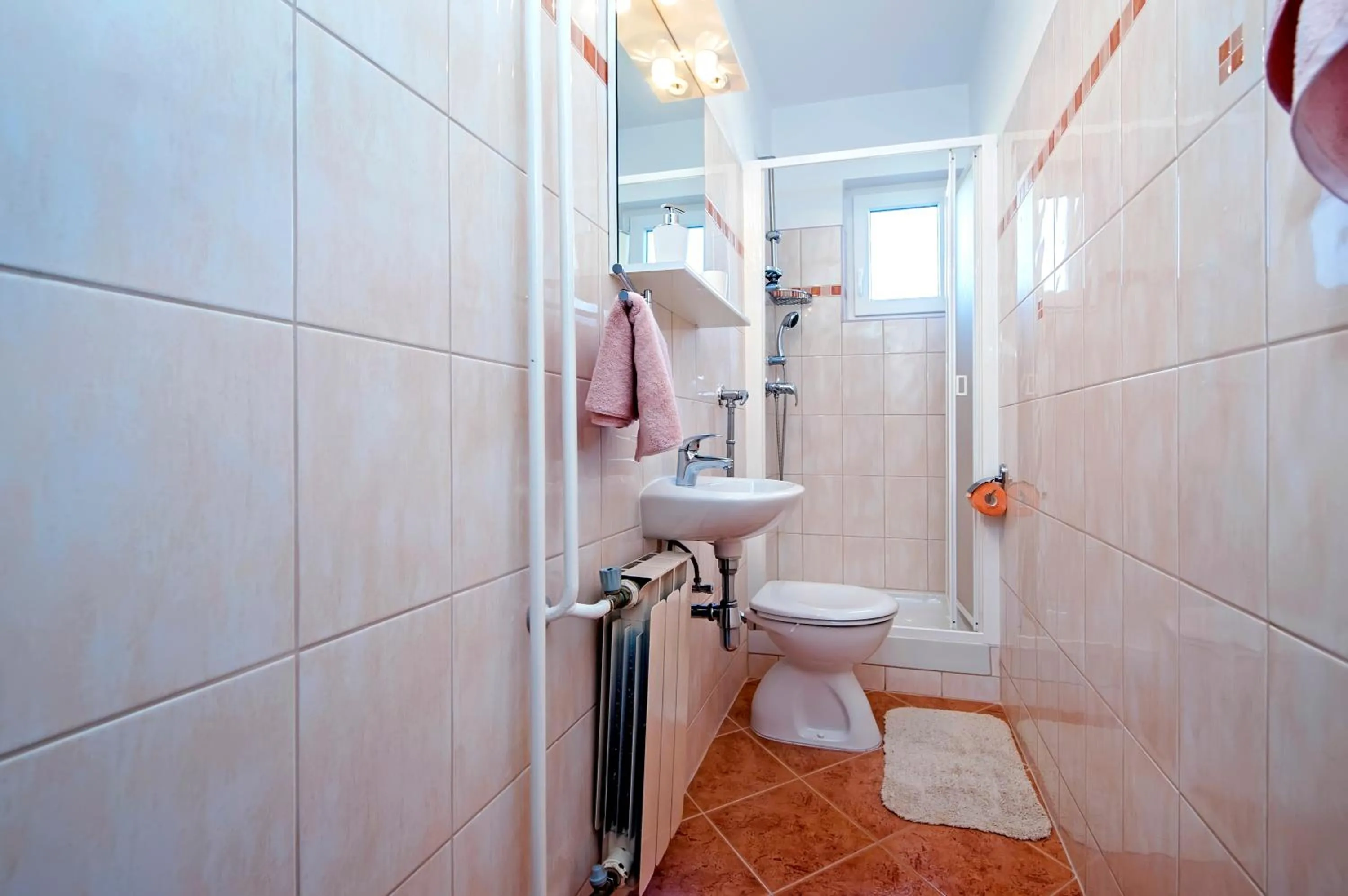 Shower in Apartment Ivo
