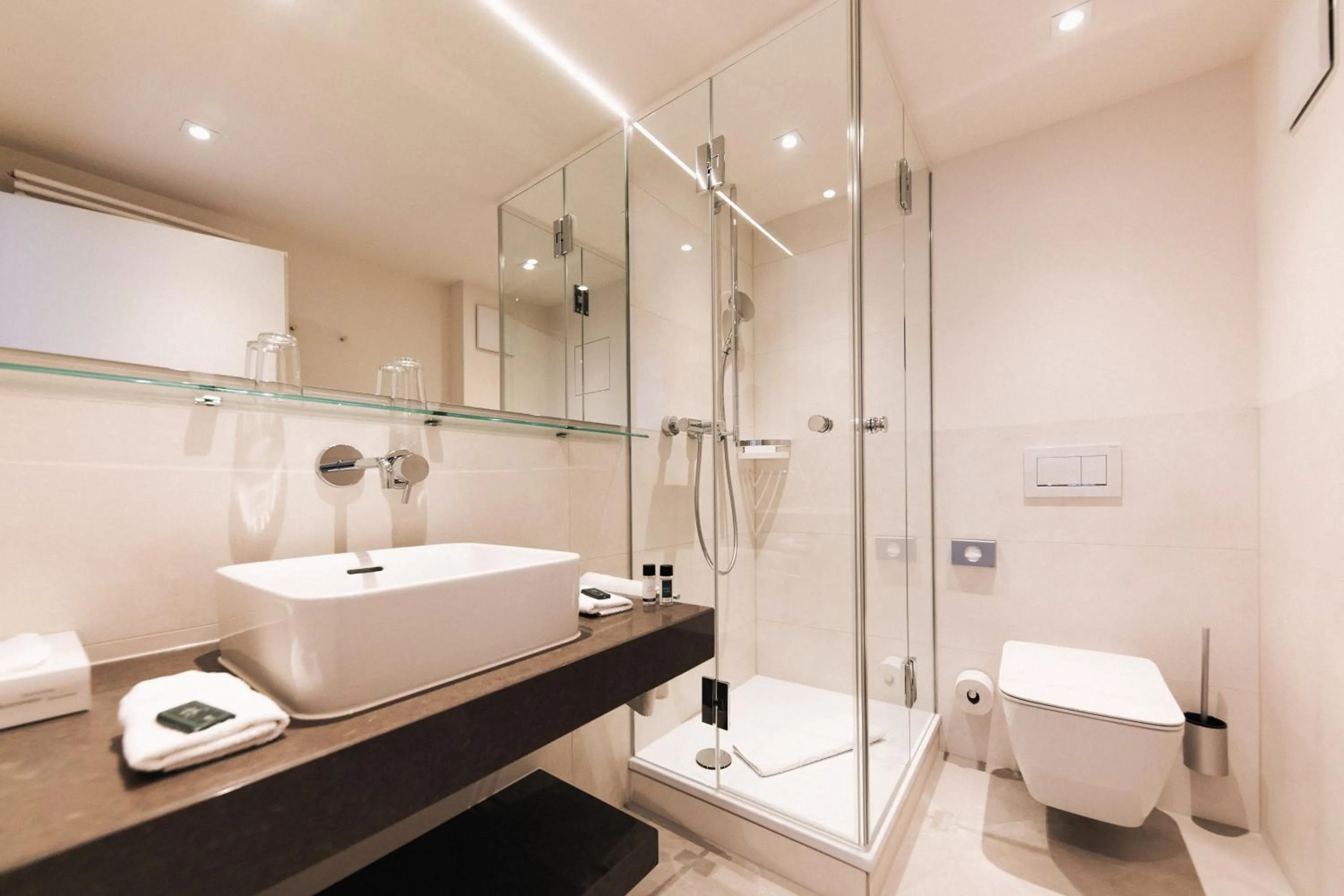 Shower in Hotel Weisser Bock