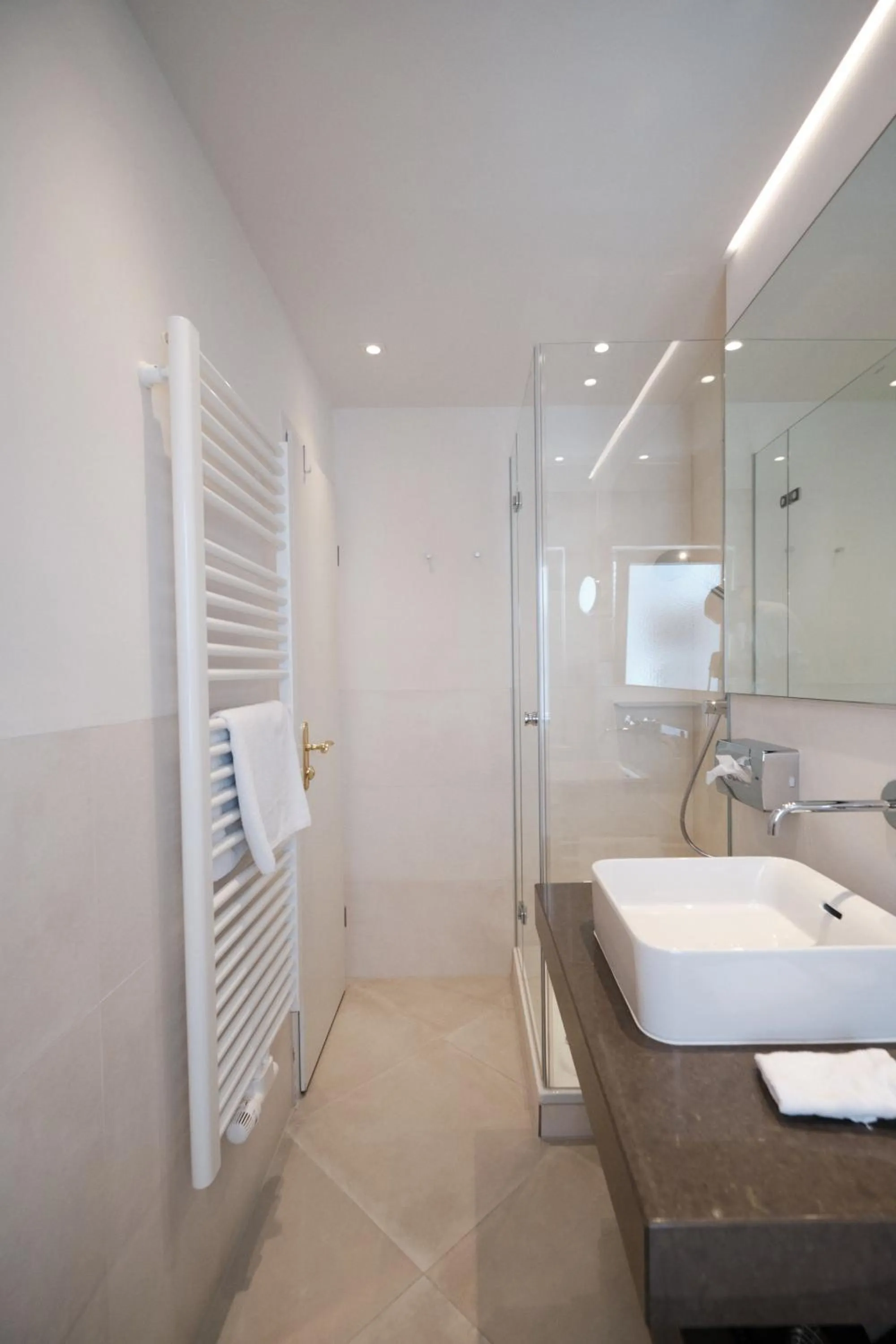 Shower in Hotel Weisser Bock