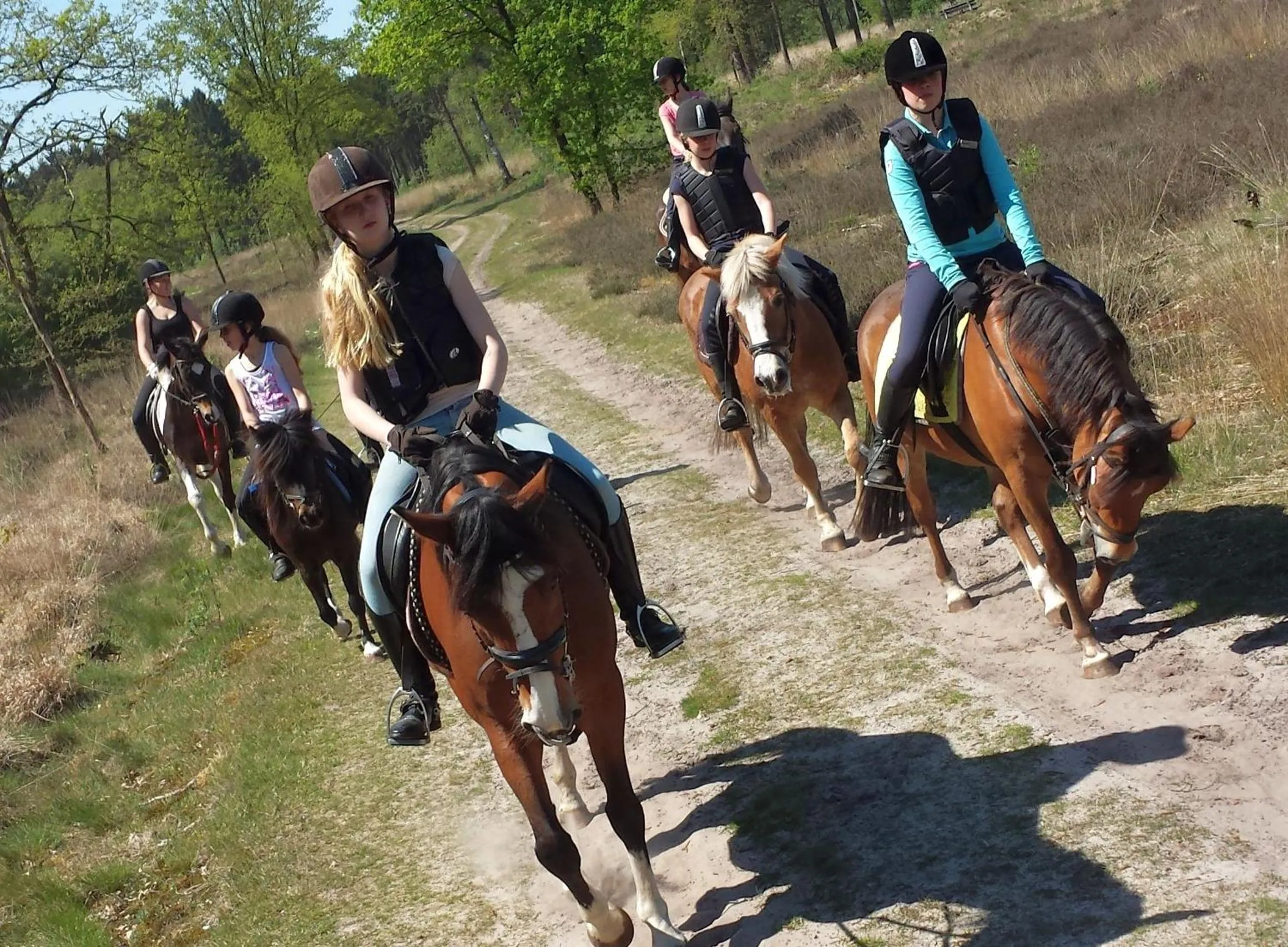 Horse-riding in Horsetellerie Rheezerveen