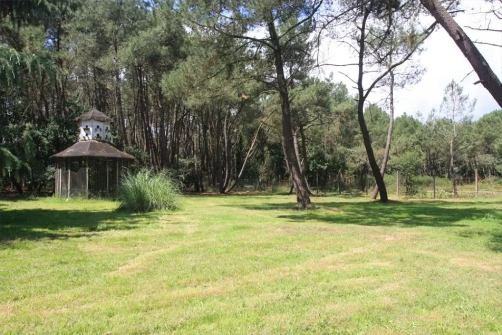 Garden in Le Clos du Chêne