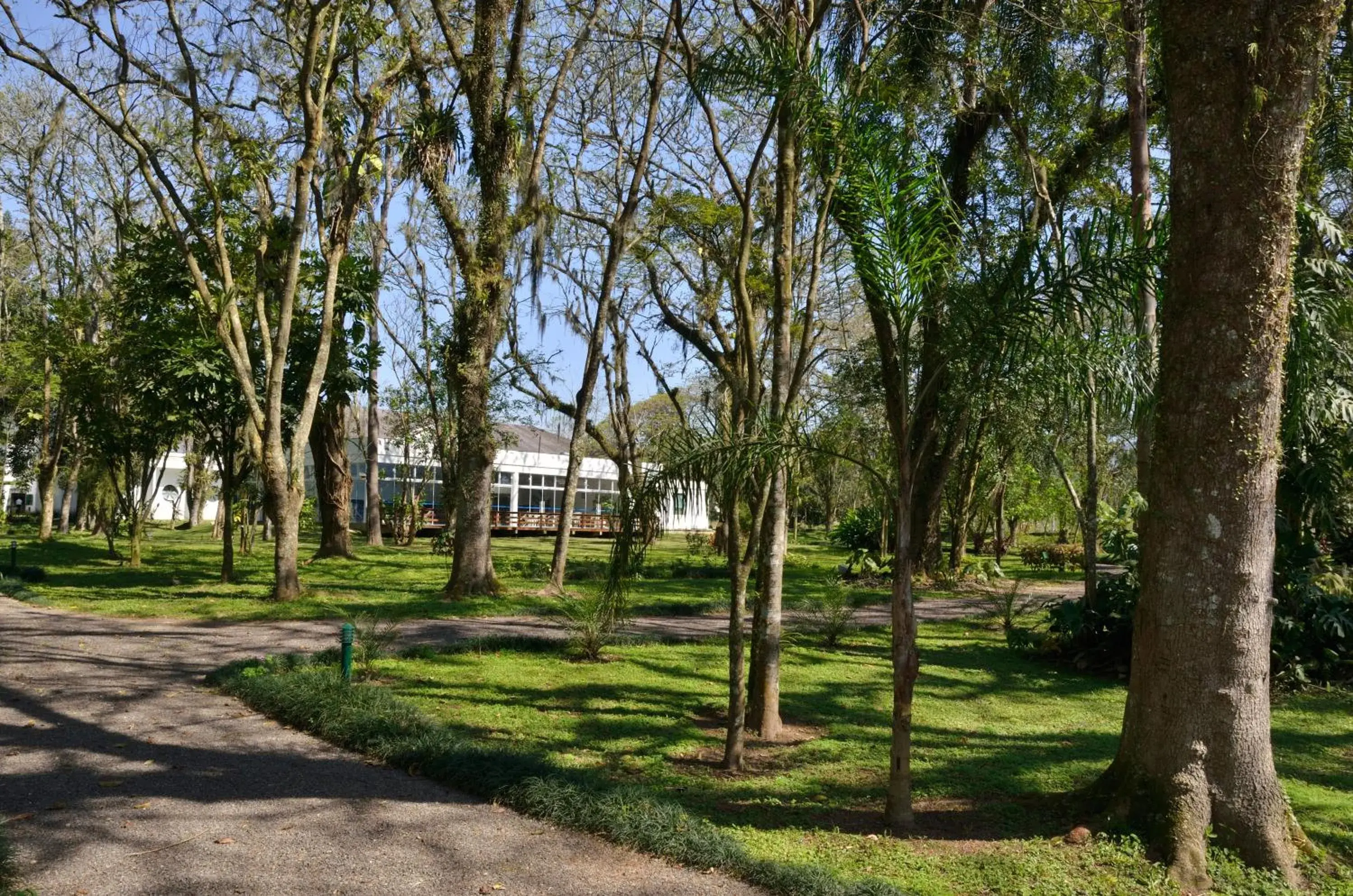 Garden view in Hotel Termas Gravatal Garden view in Hotel Termas Gravatal
