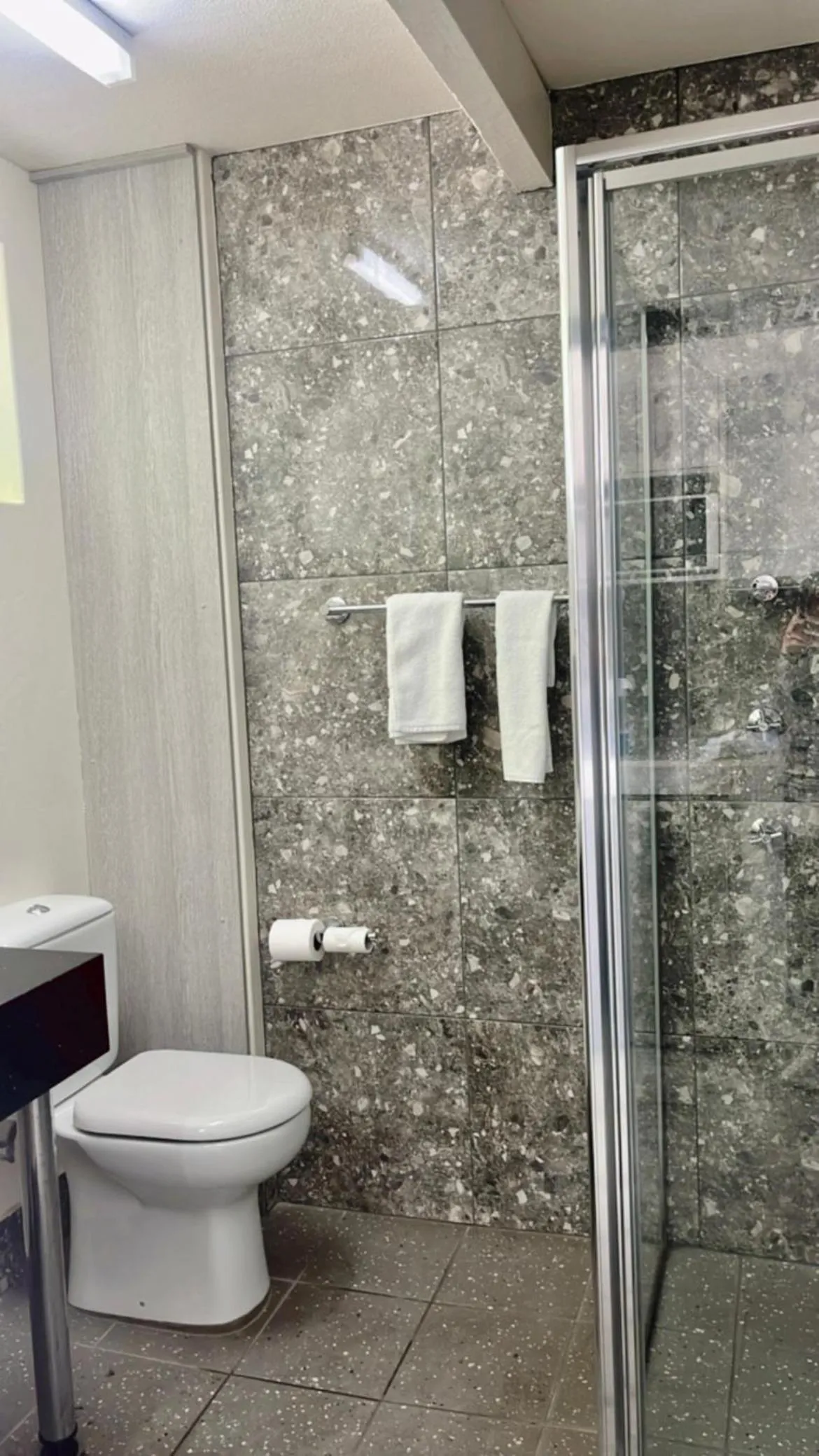 Shower in Le George Motel