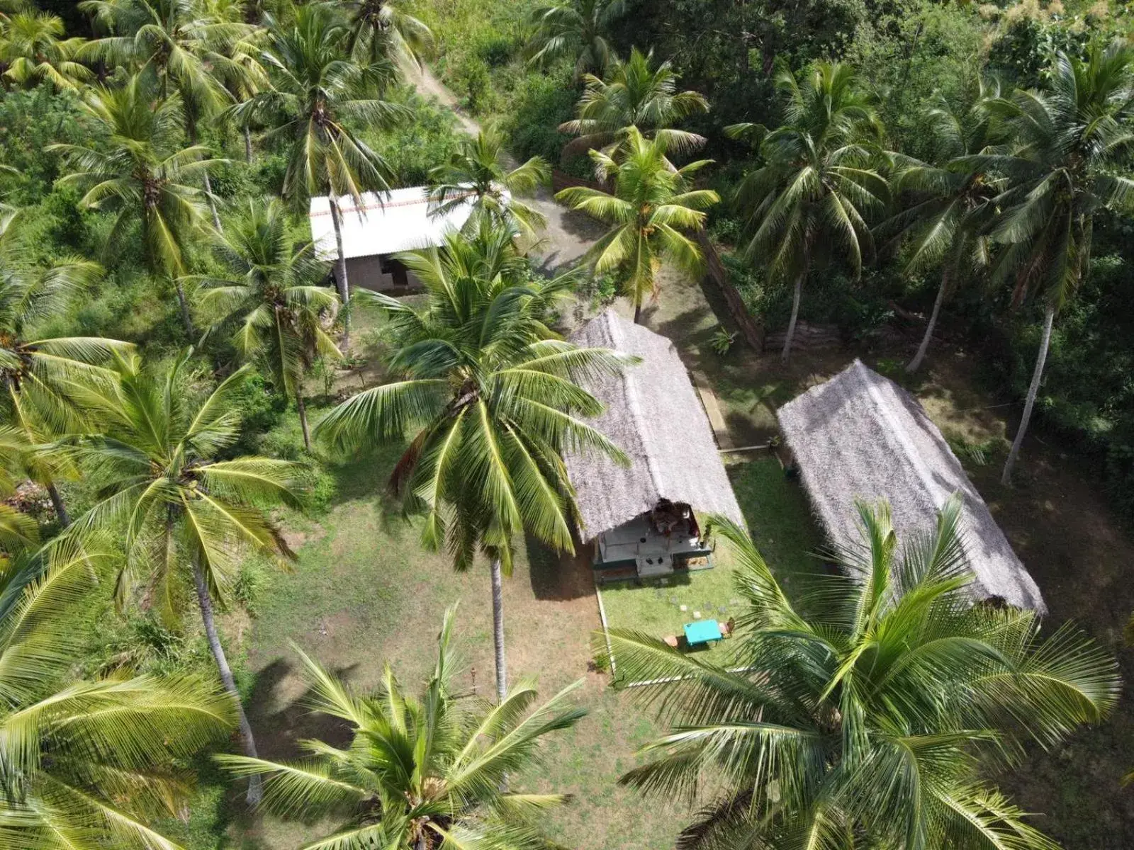 Jungle View River Camping Jungle View River Camping