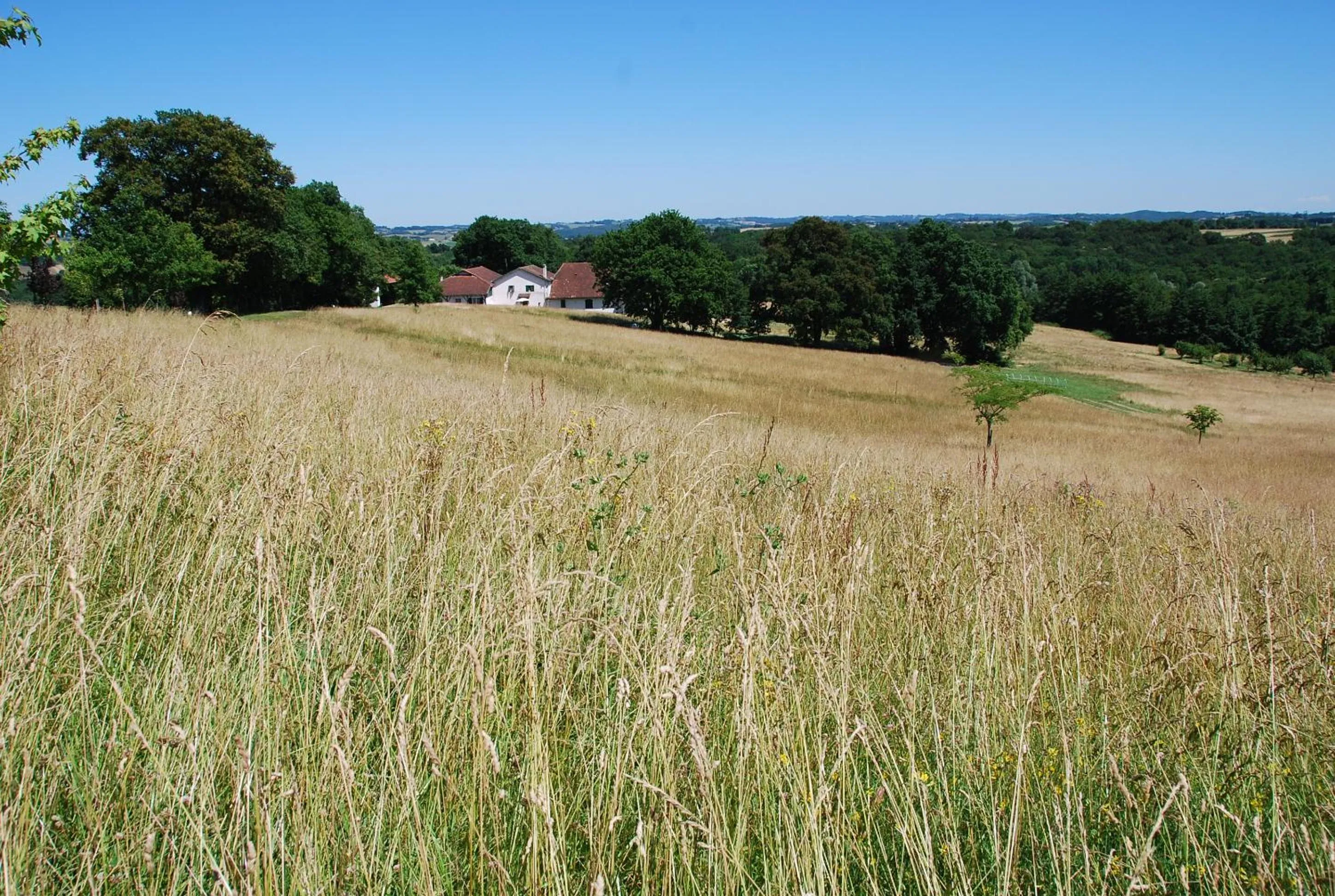 Natural landscape in Domaine Sainte Barthe, entre Marciac et Nogaro